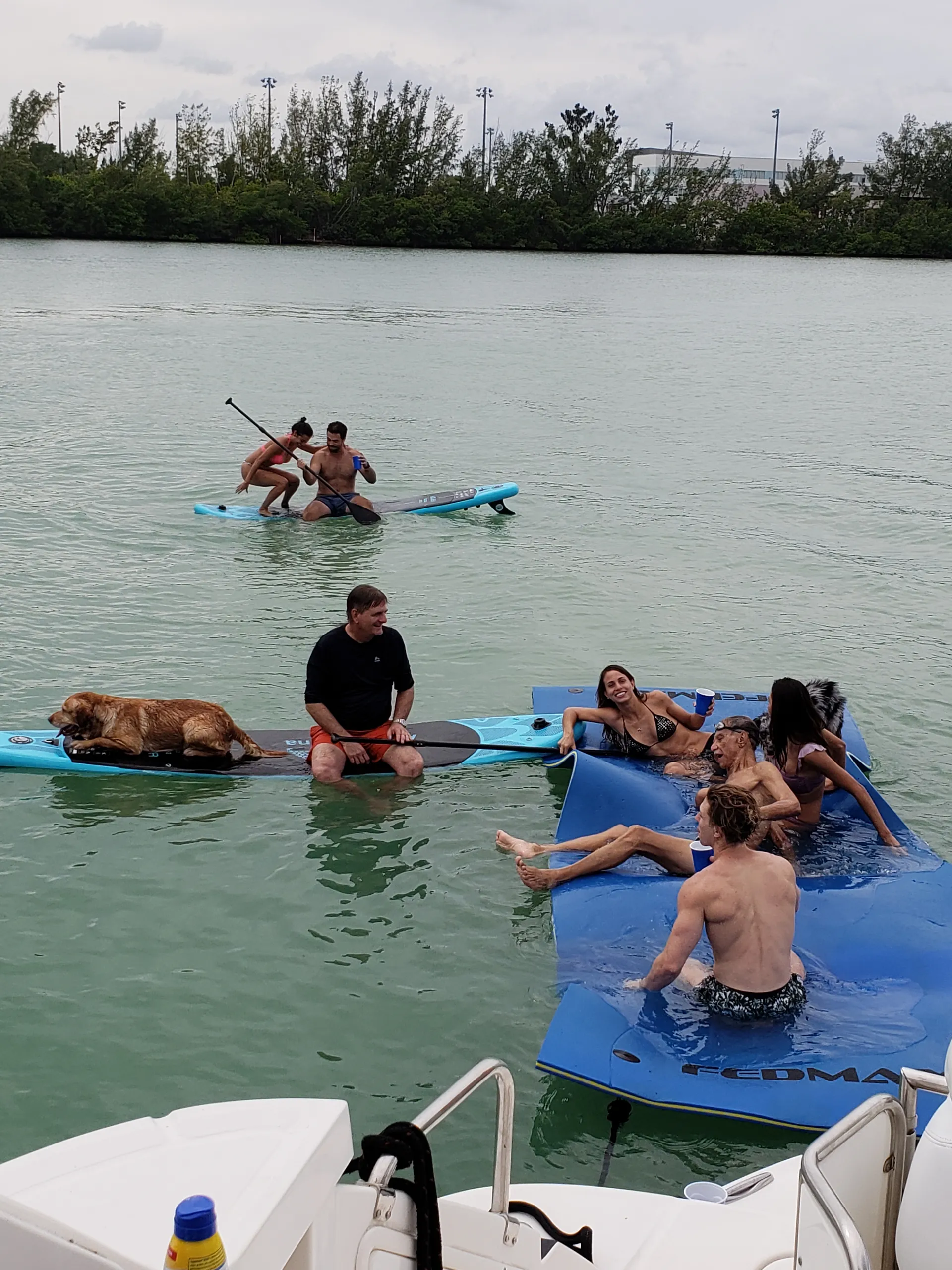 Regal Boats Commodore 4460 IPS Drive in Miami Beach, FL — photo 4