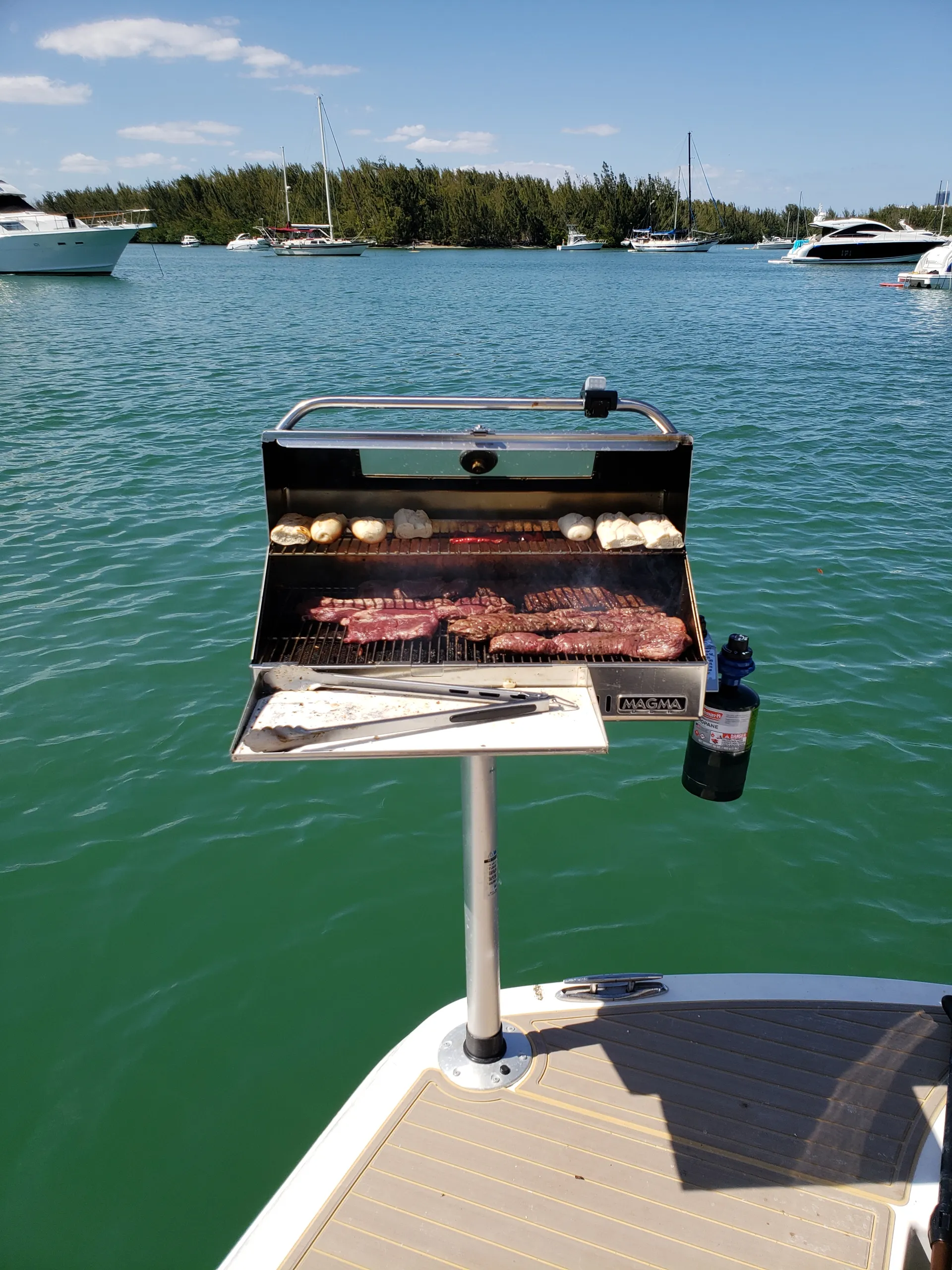 Regal Boats Commodore 4460 IPS Drive in Miami Beach, FL — photo 7