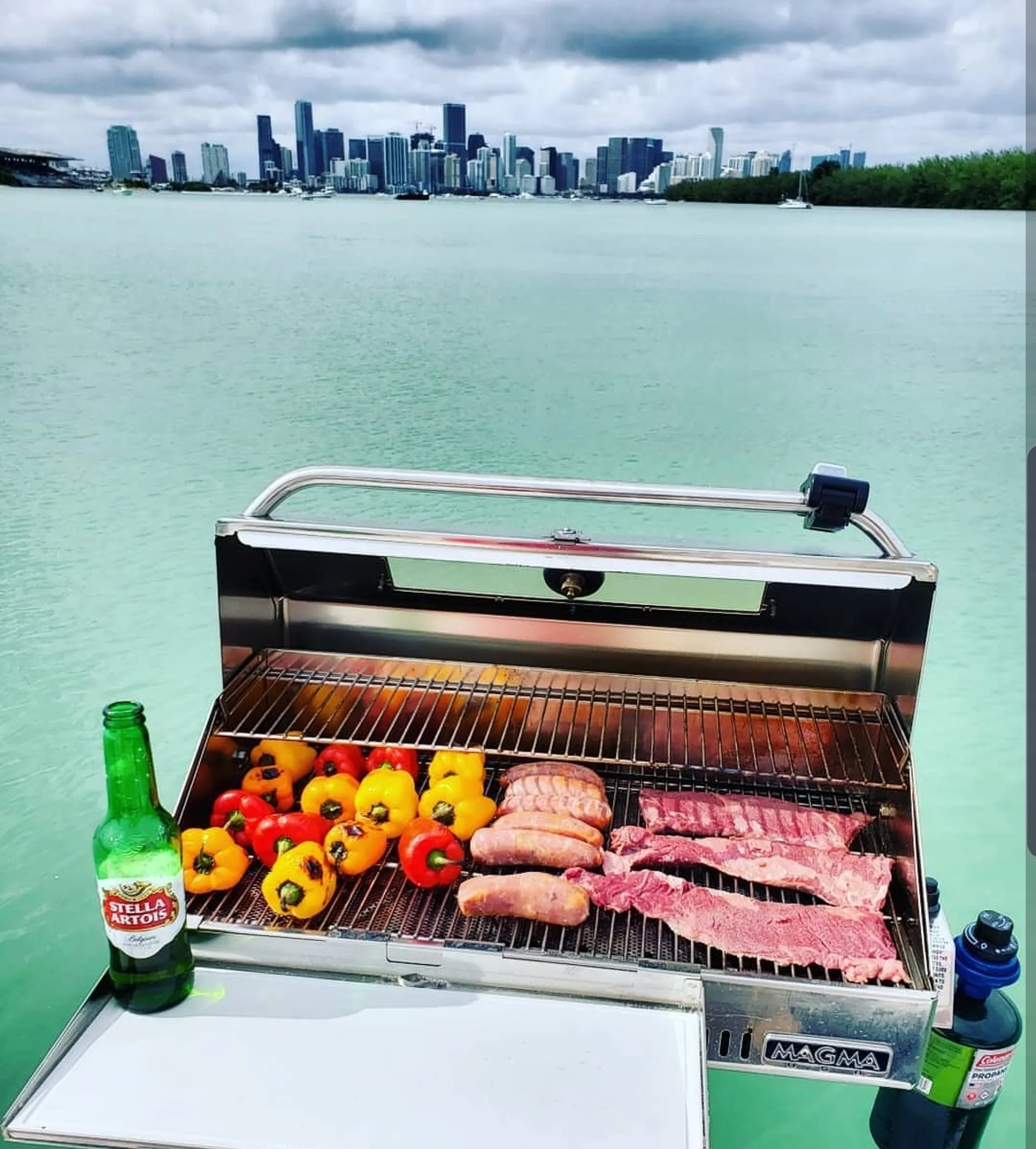 Regal Boats Commodore 4460 IPS Drive in Miami Beach, FL — photo 2