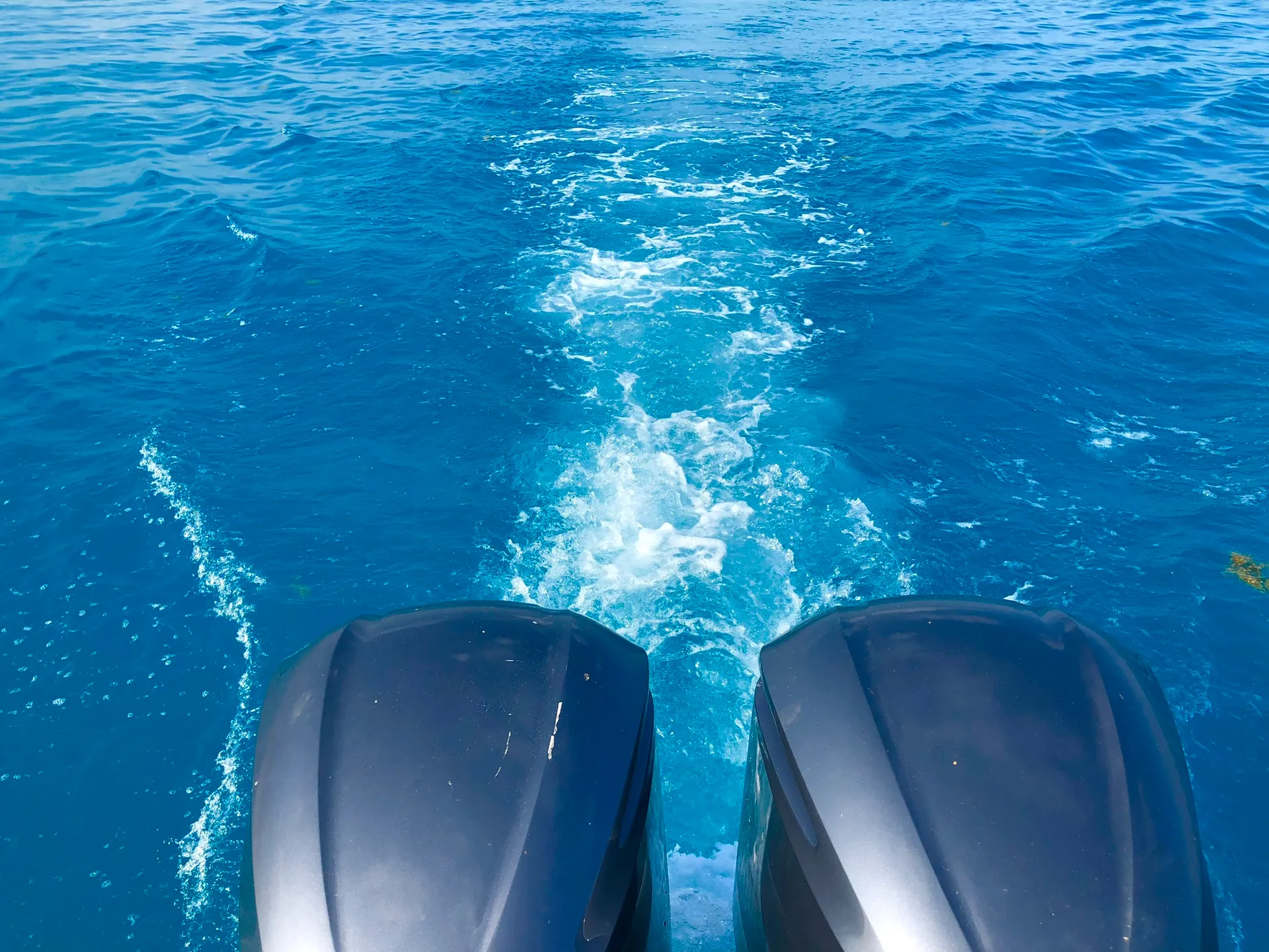 Reef snorkeling and Sandbar Tour