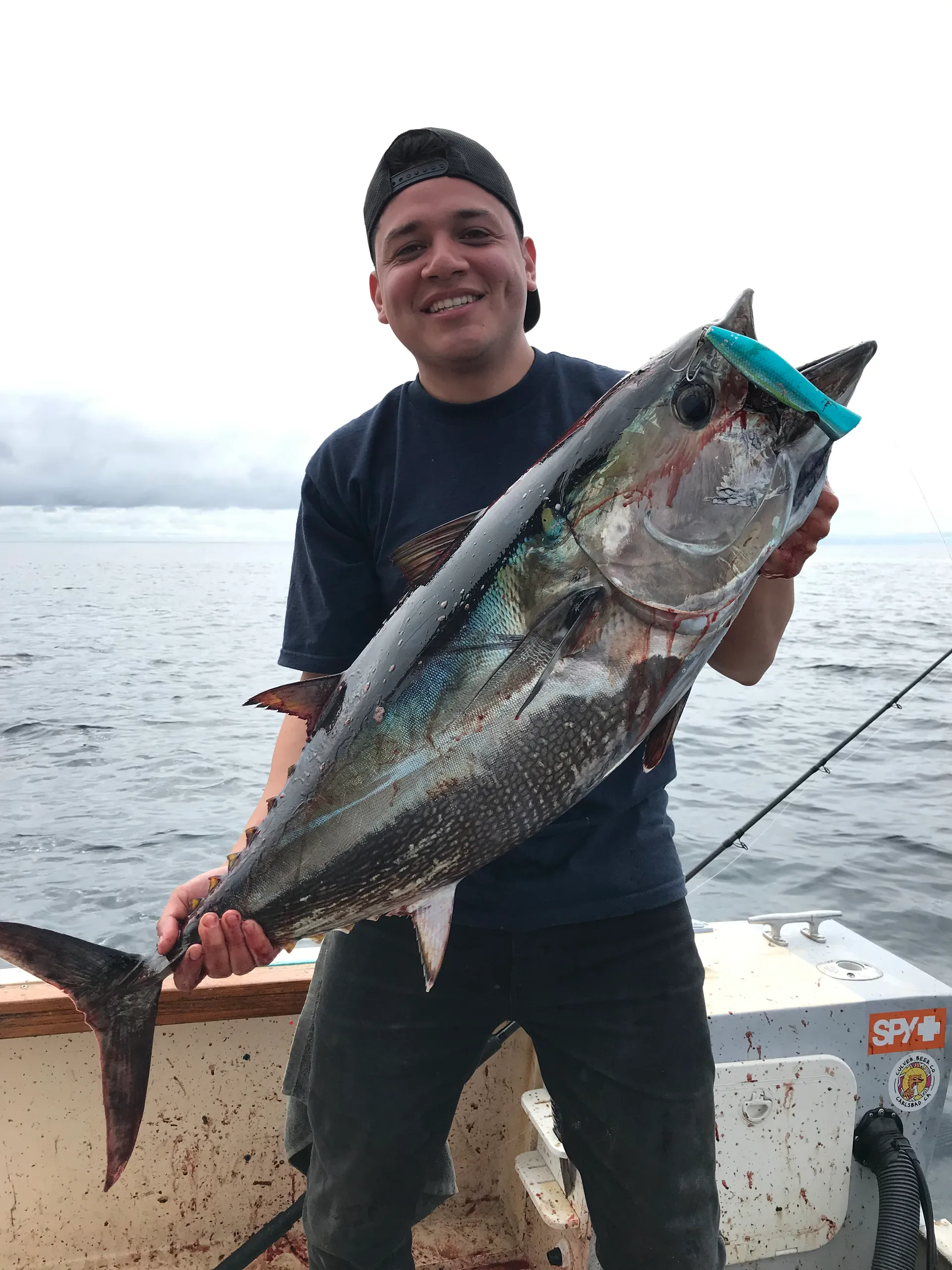 Chris Craft 230SL Scorpion in Oceanside, CA — photo 3