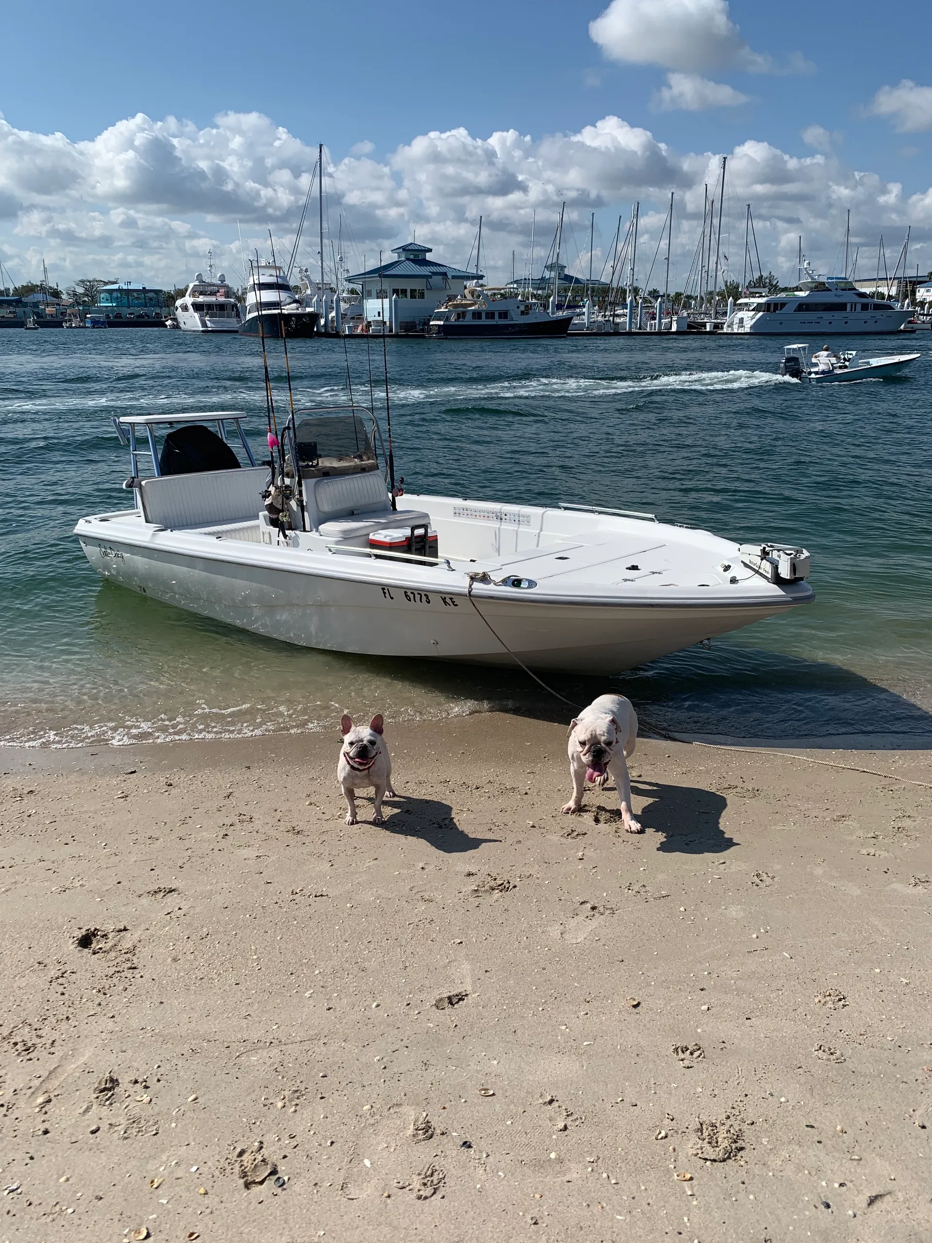 boat