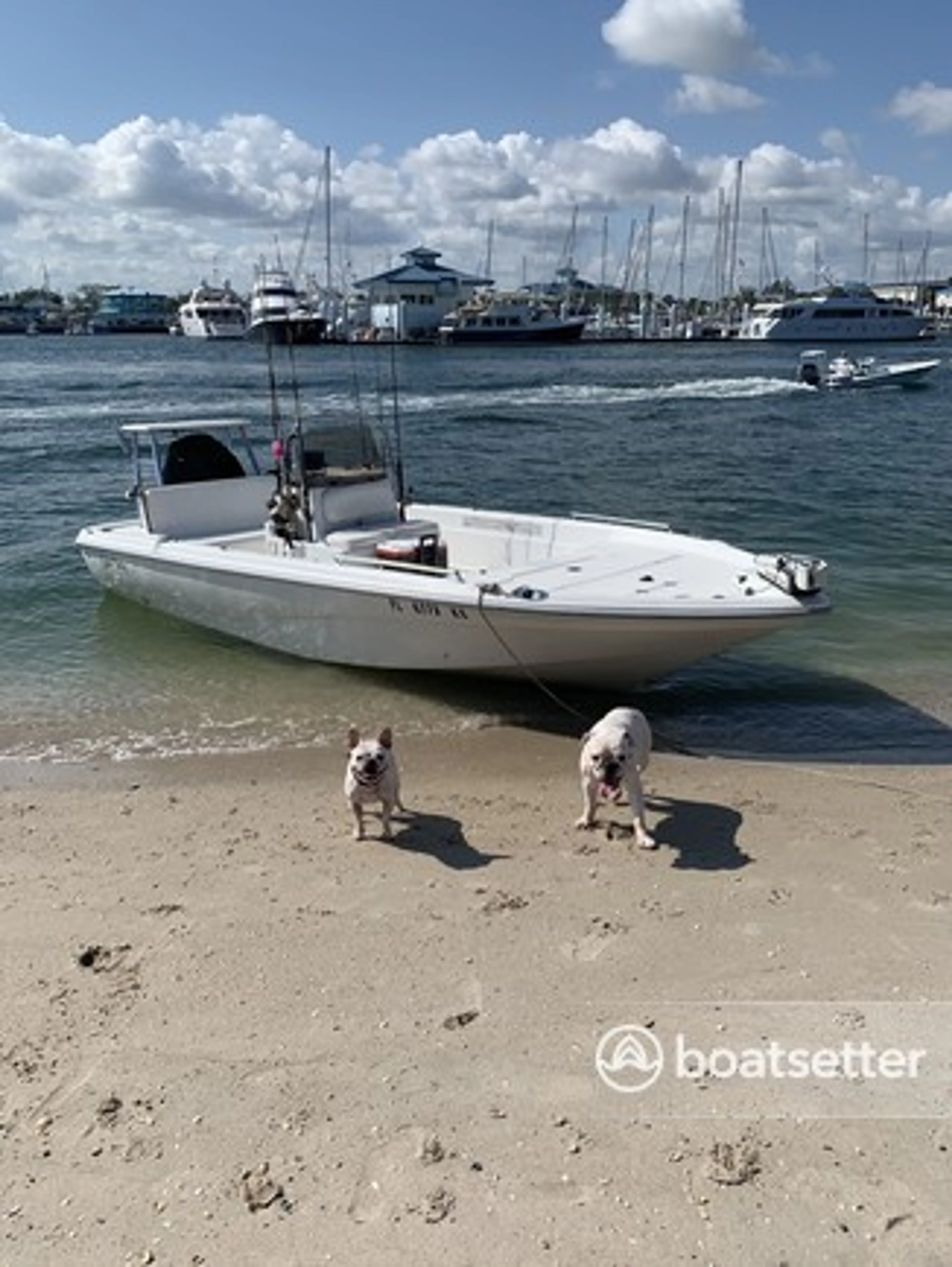 boat