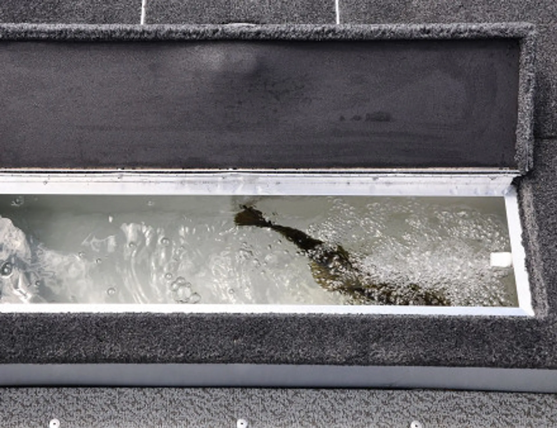 Lund Angler - Crane Lake