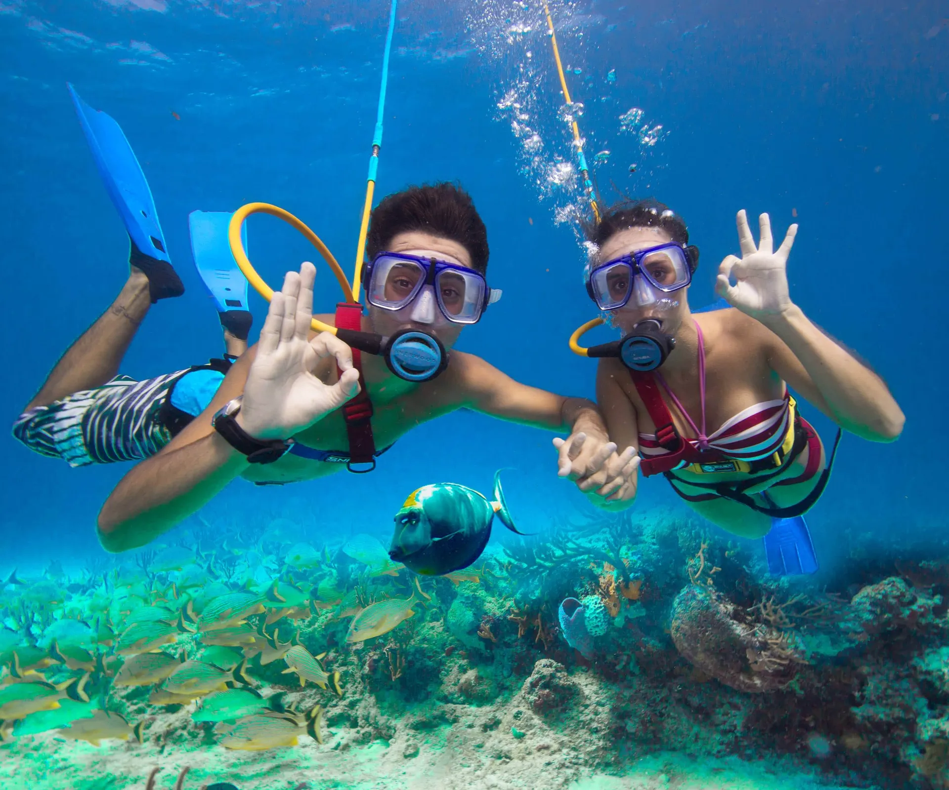 Excursion to Rose Island, Turtle Beach, Gilligan's