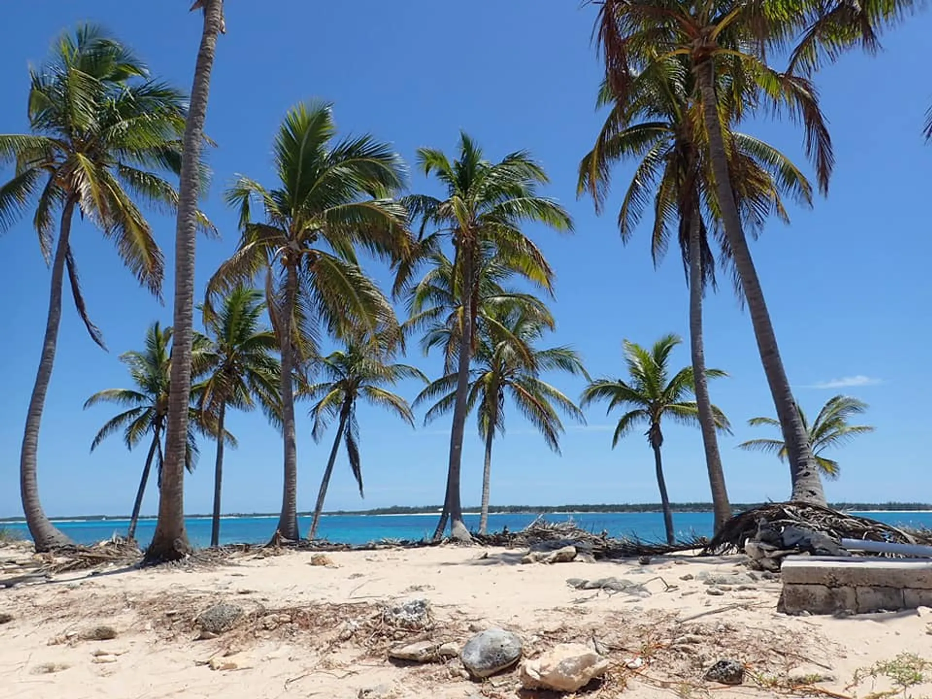 Excursion to Rose Island, Turtle Beach, Gilligan's