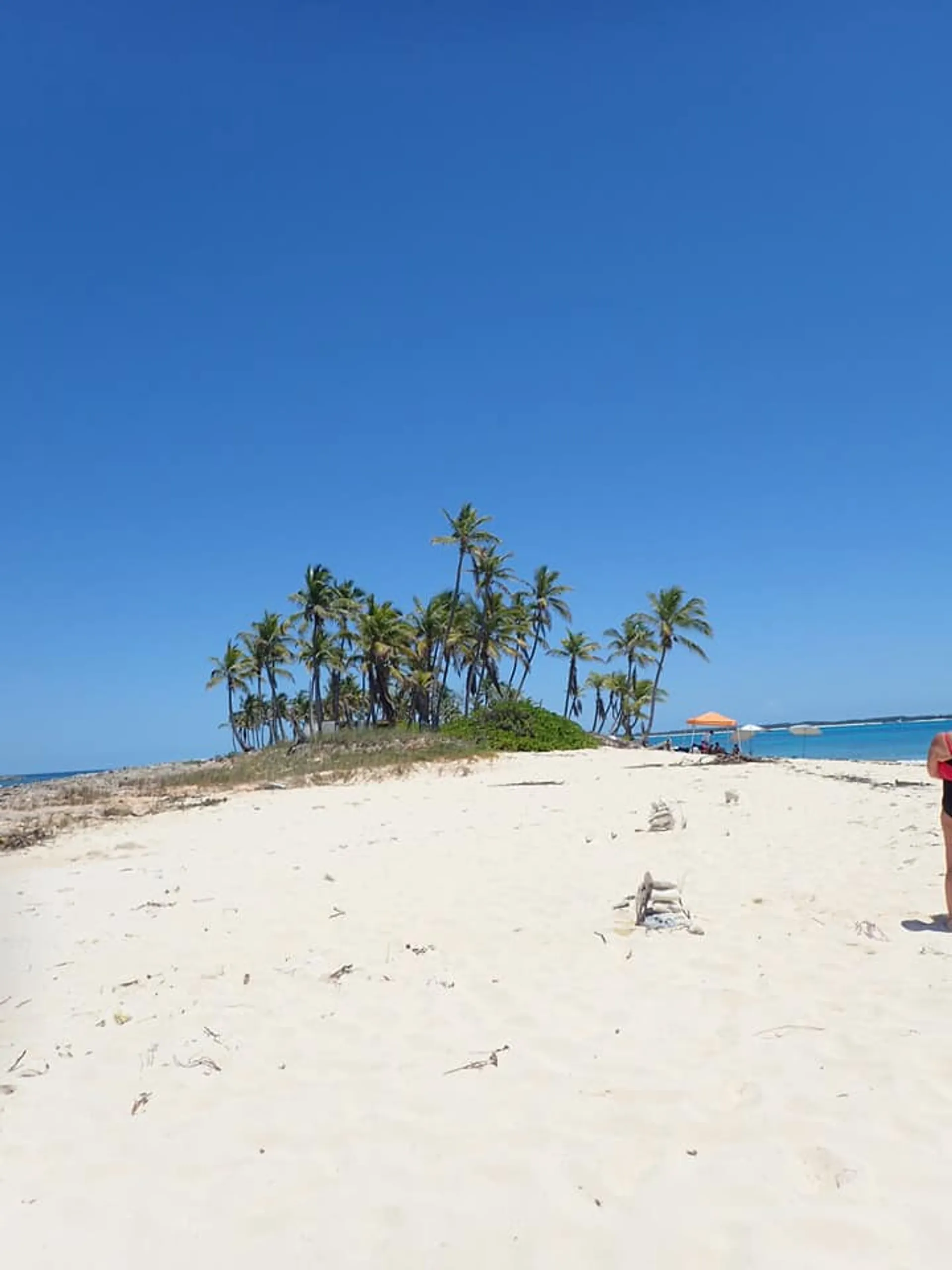 Excursion to Rose Island, Turtle Beach, Gilligan's