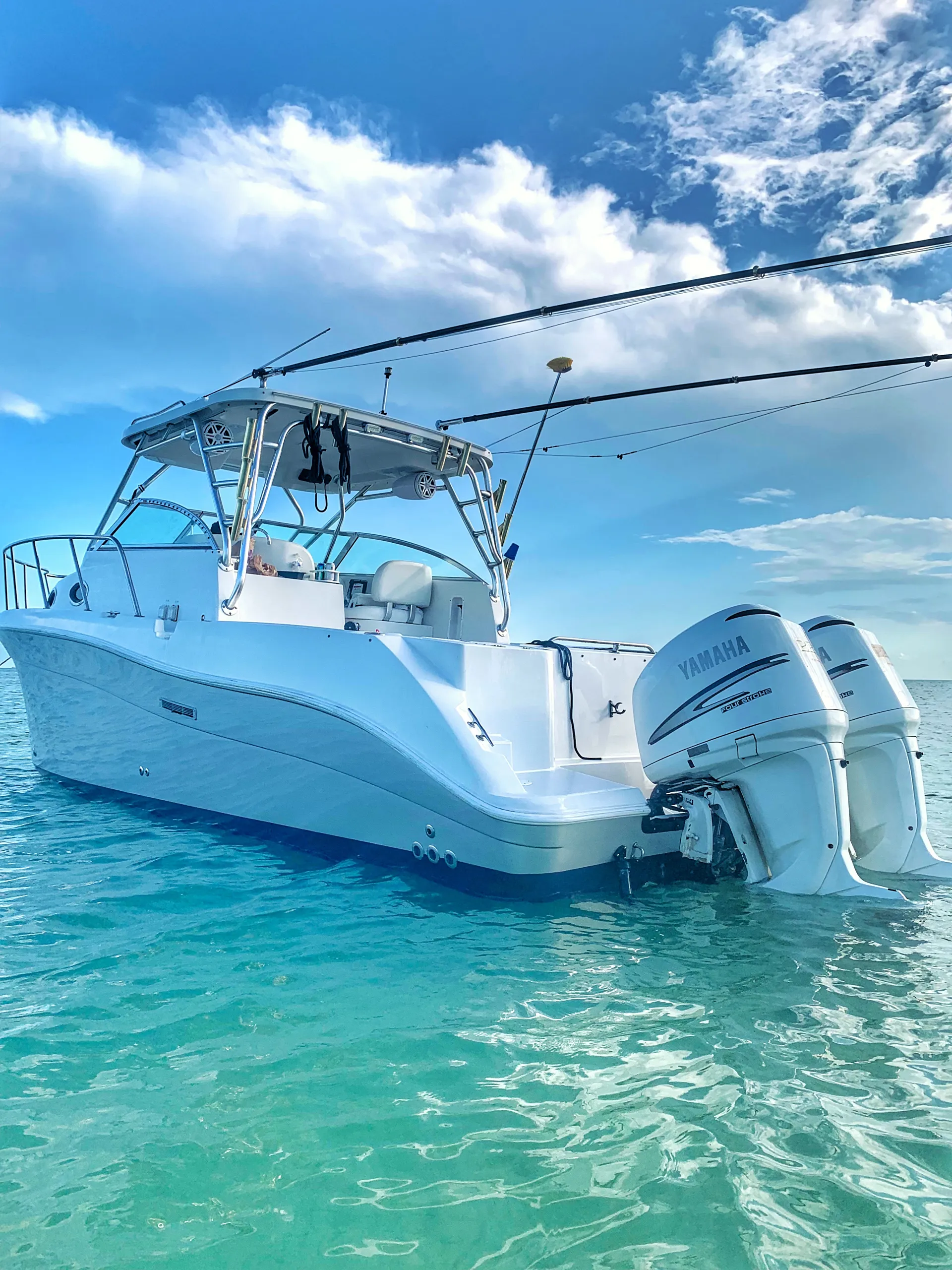 Seaswirl Boats 2901 WA Striper w/2-225HP 4-S in Miami, FL — photo 3