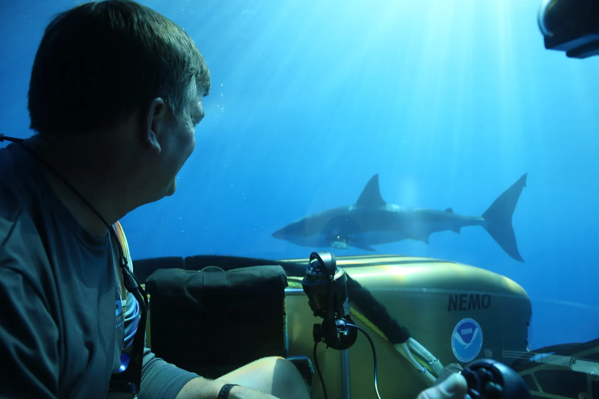 M/V Go America 150' in Pompano Beach, FL — photo 10