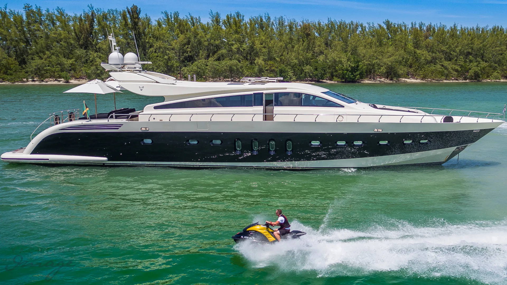 Leopard 101  in Miami Beach, FL — photo 2