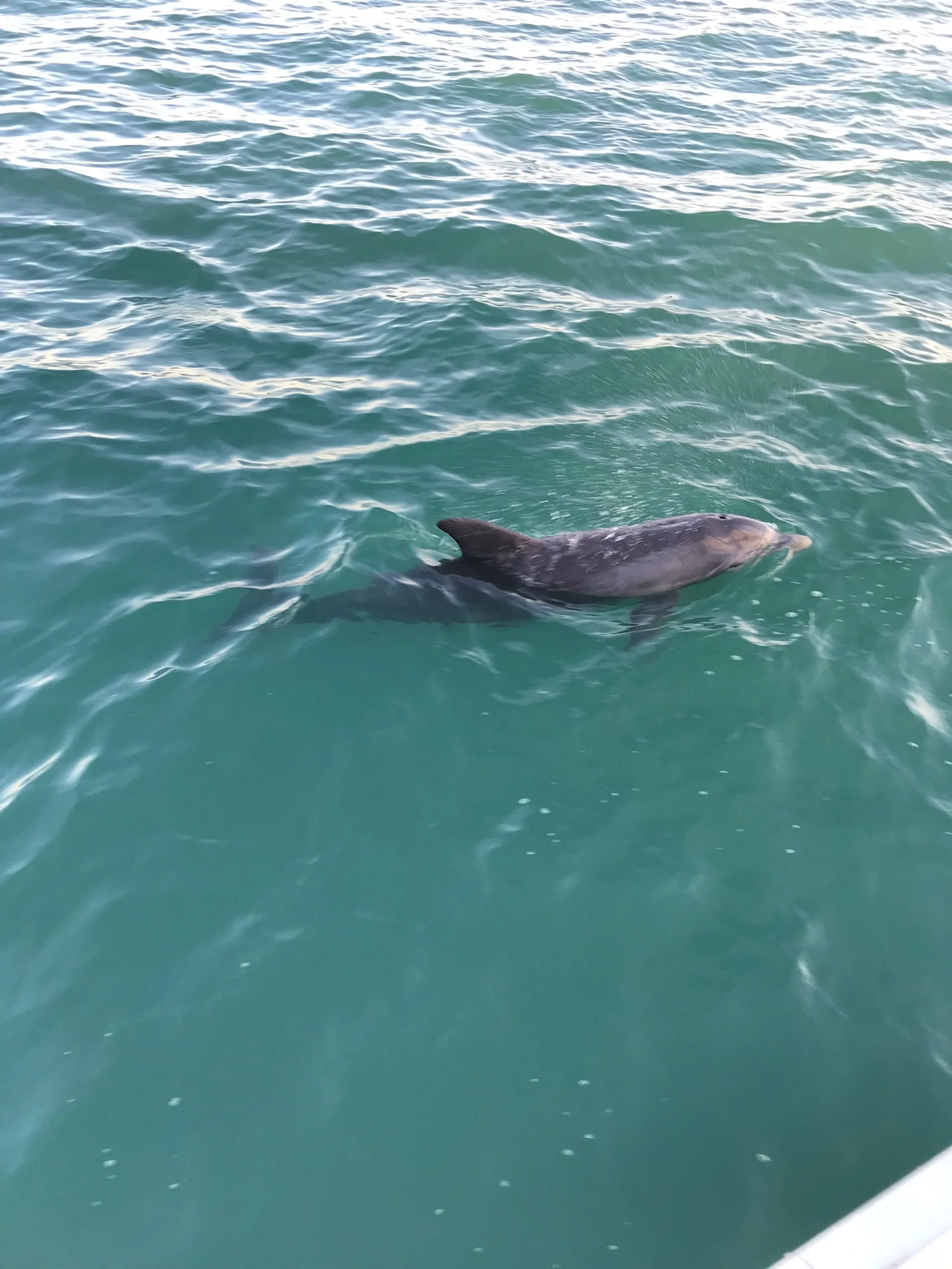 Hunter 31 in Miami, FL — photo 10