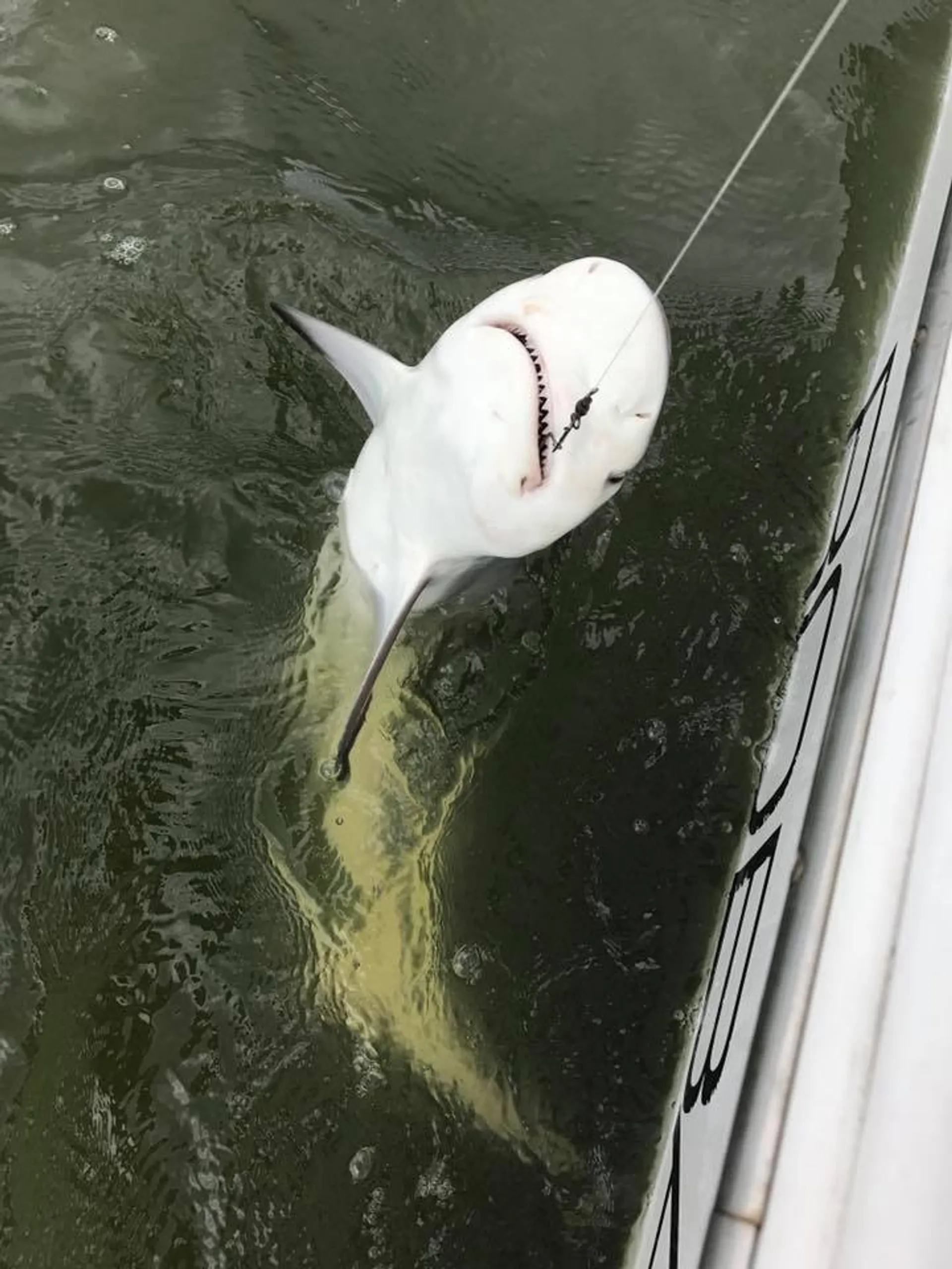 Robalo 200 W/200 HPDI XL in Kemah, TX — photo 4