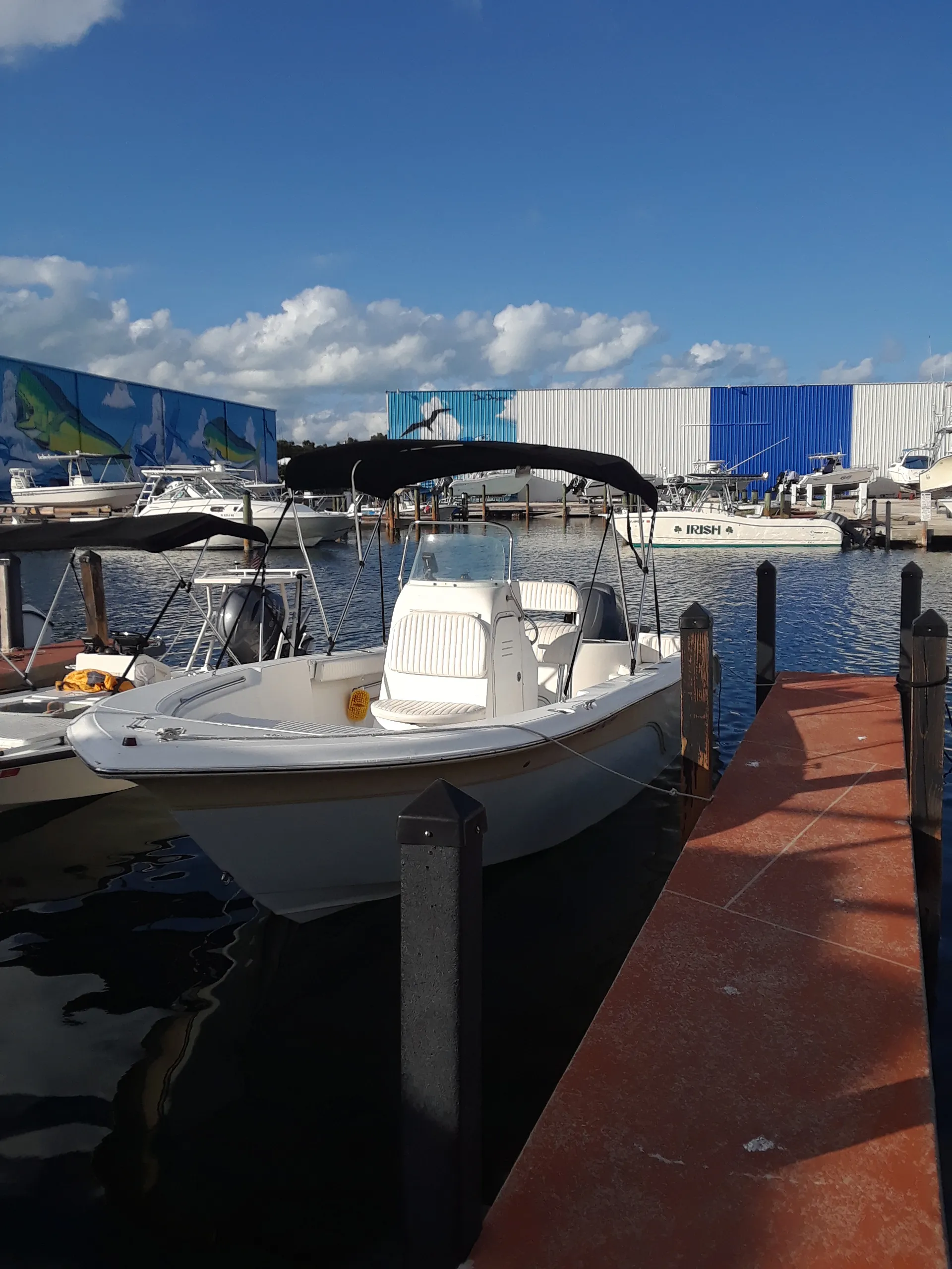 Sea Fox 236 CC Pro in Tavernier, FL — photo 2