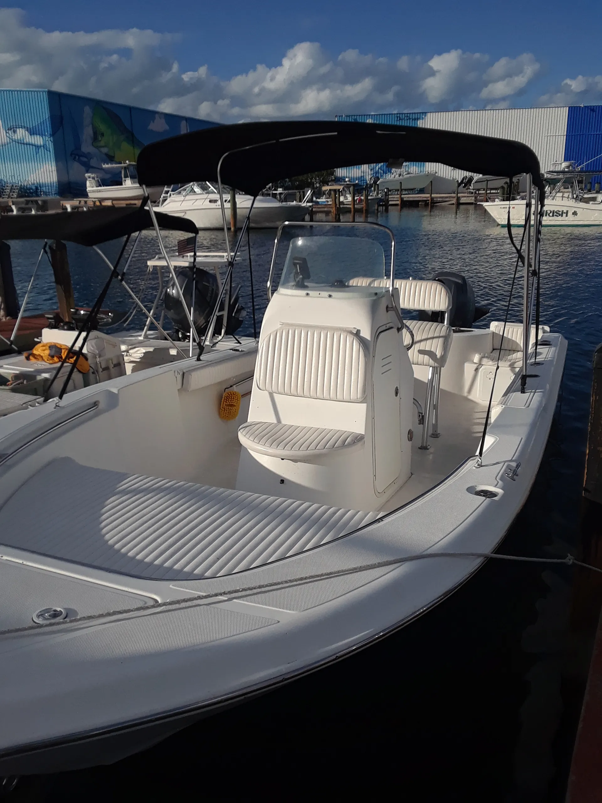 Sea Fox 236 CC Pro in Tavernier, FL — photo 4
