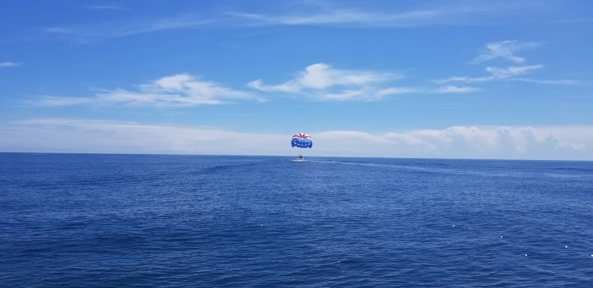 Charter this 36' Sea Ray Sport Yacht Today!