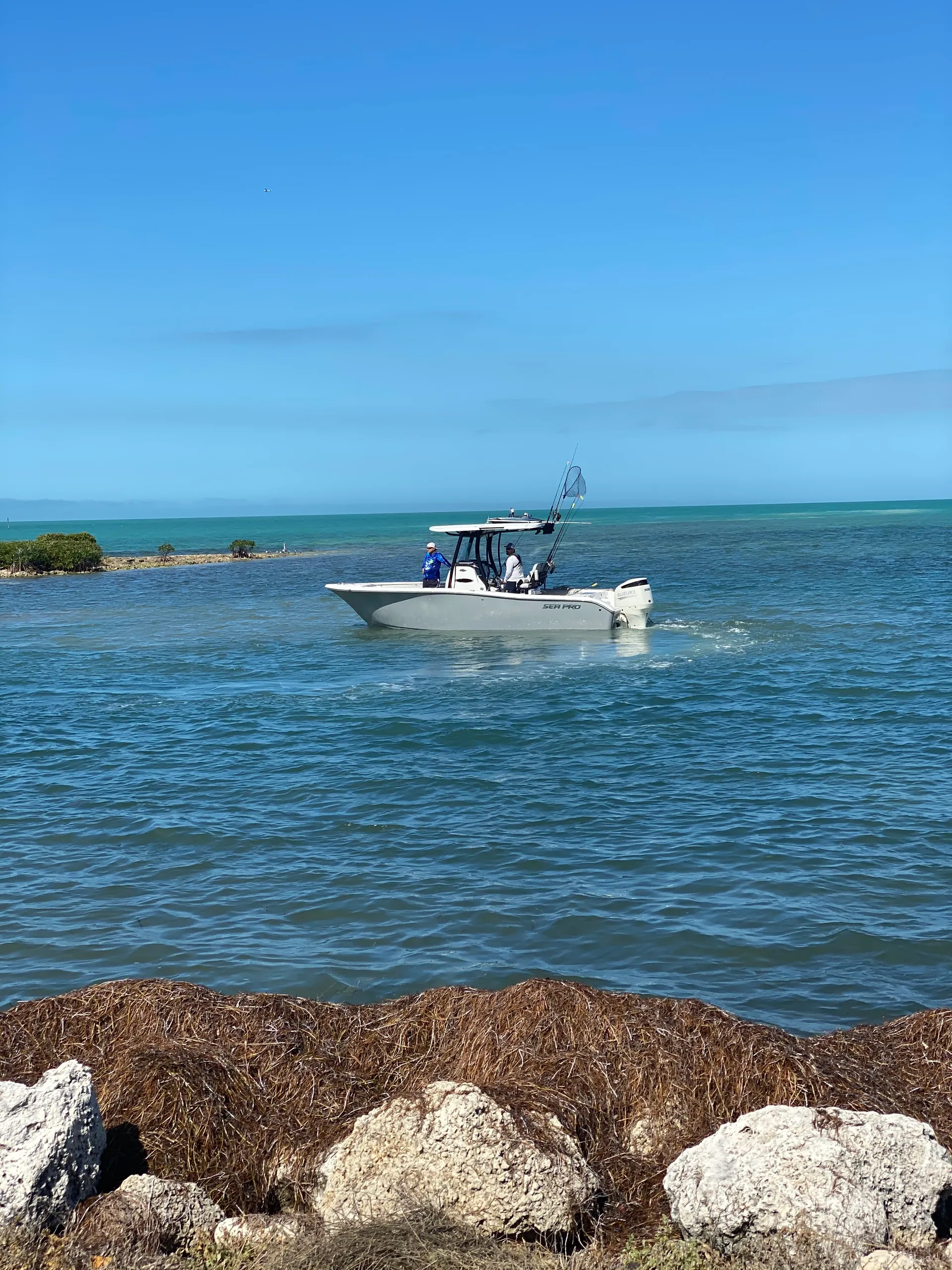 Sea Pro Boats 239 CC w/300 suzuki in Miami, FL — photo 3