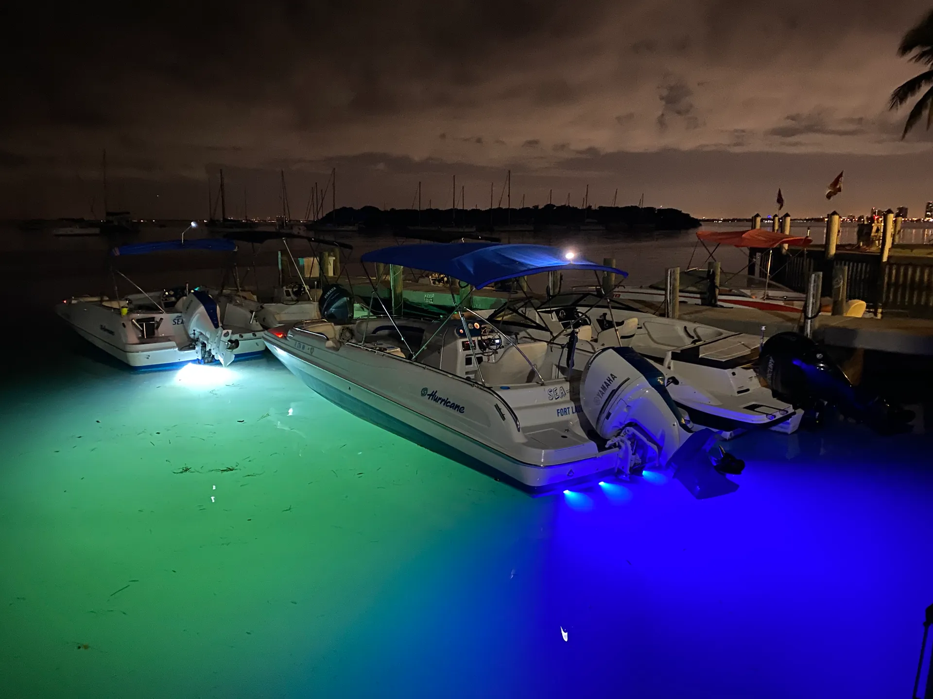 Clean, 21" Luxury Deck Boat (Day or Night cruise)