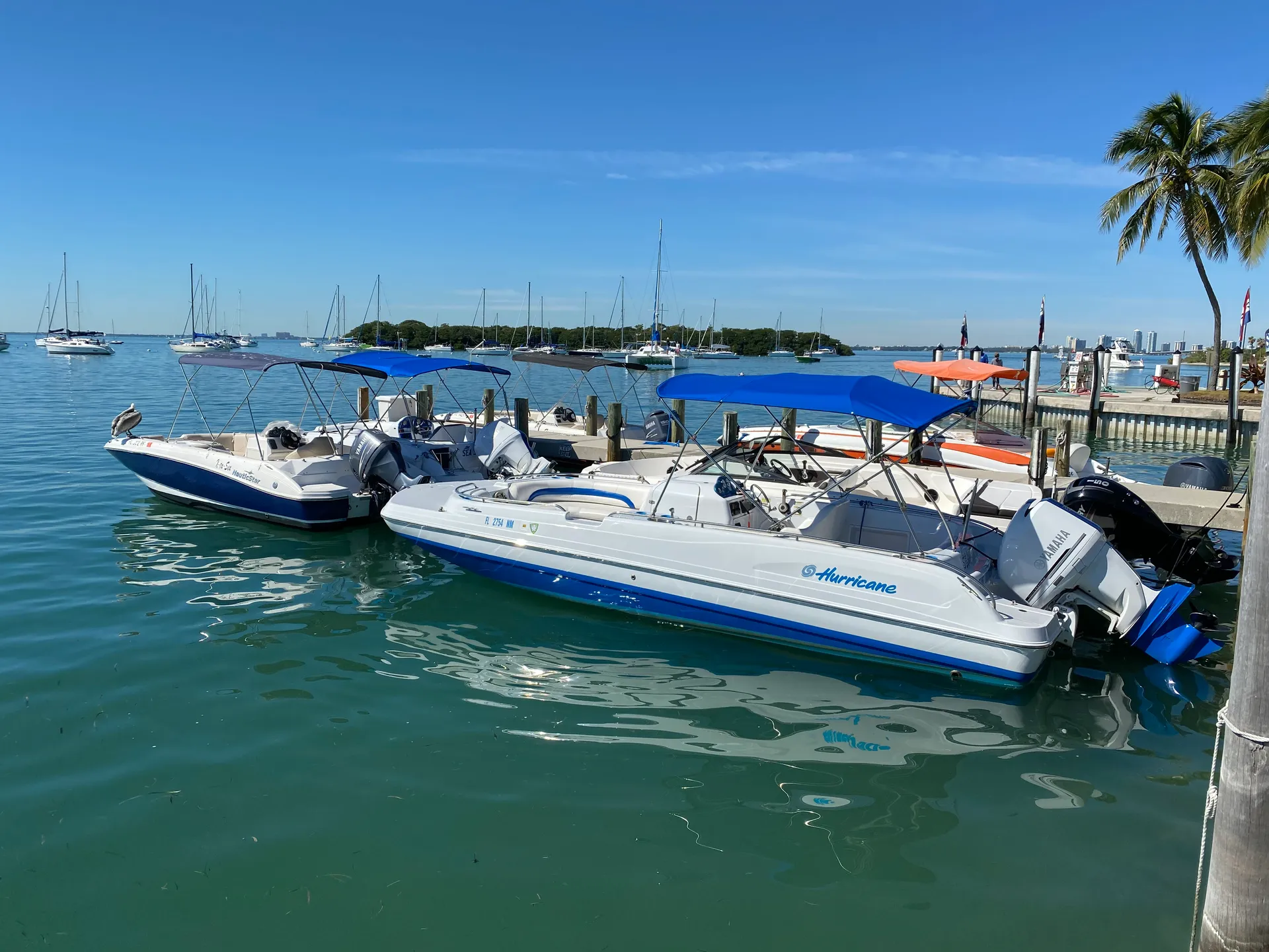 Clean, 21" Luxury Deck Boat (Day or Night cruise)