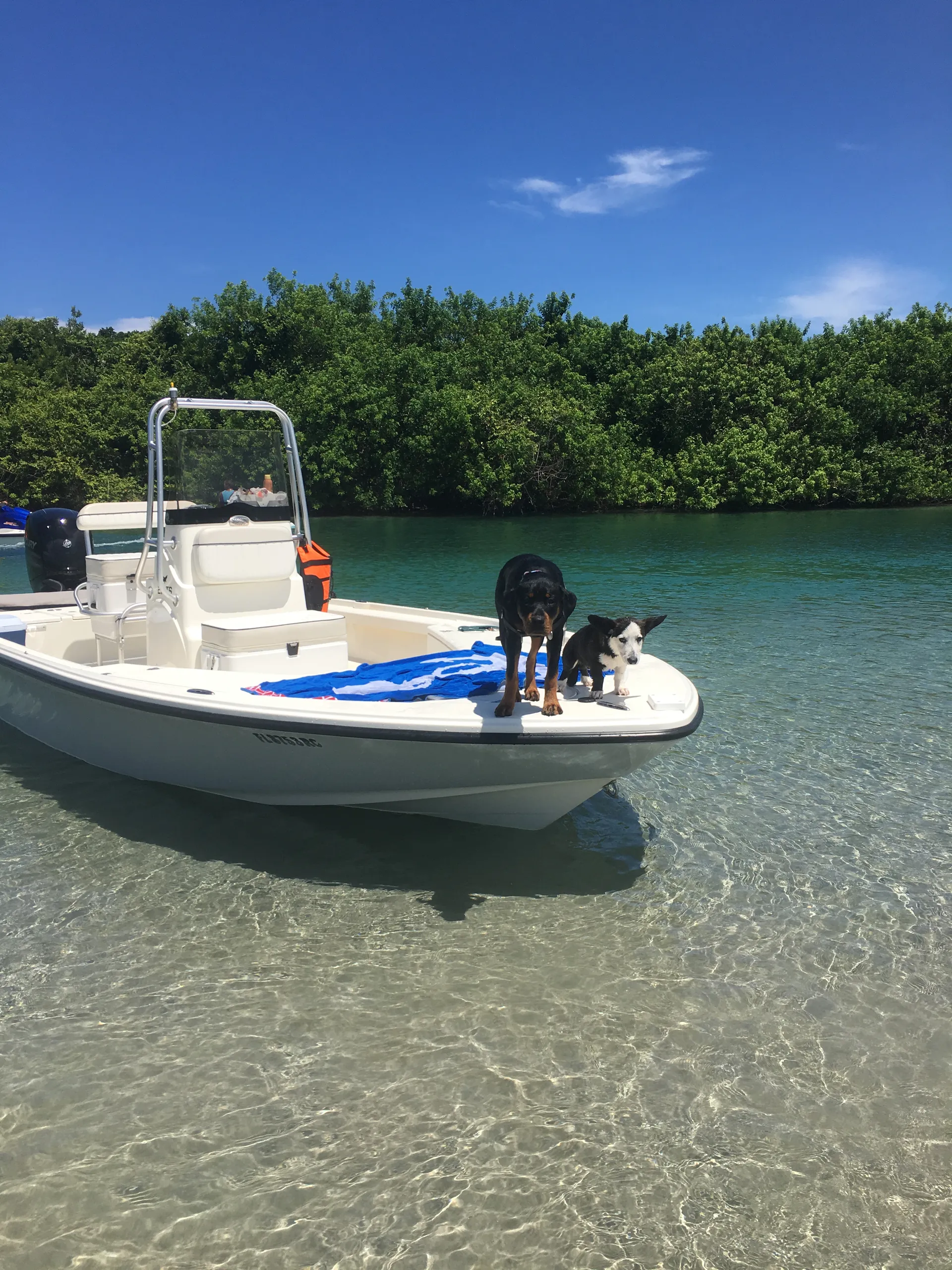 boat
