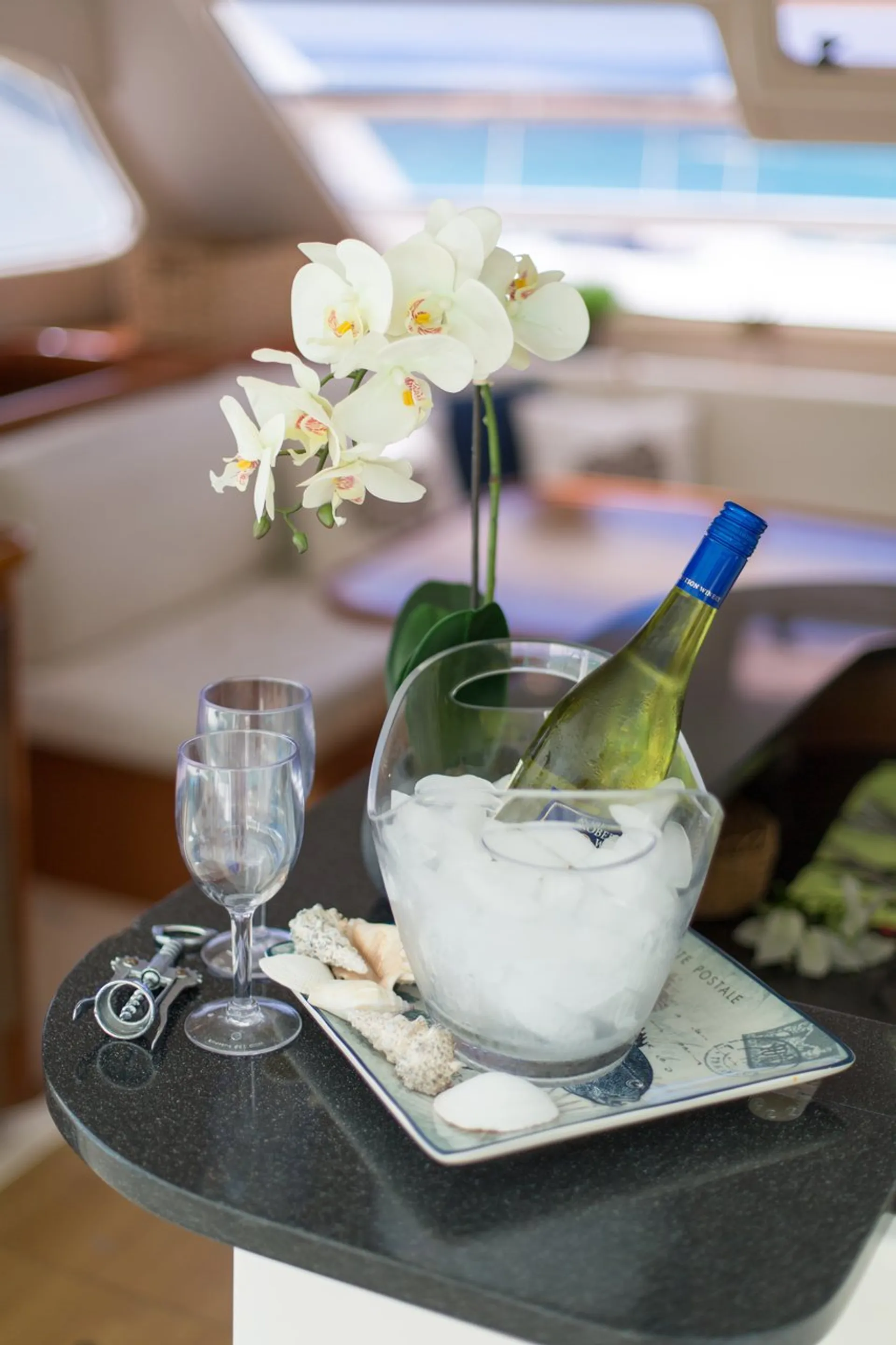 Premium Luxury  50 ft Power Catamaran