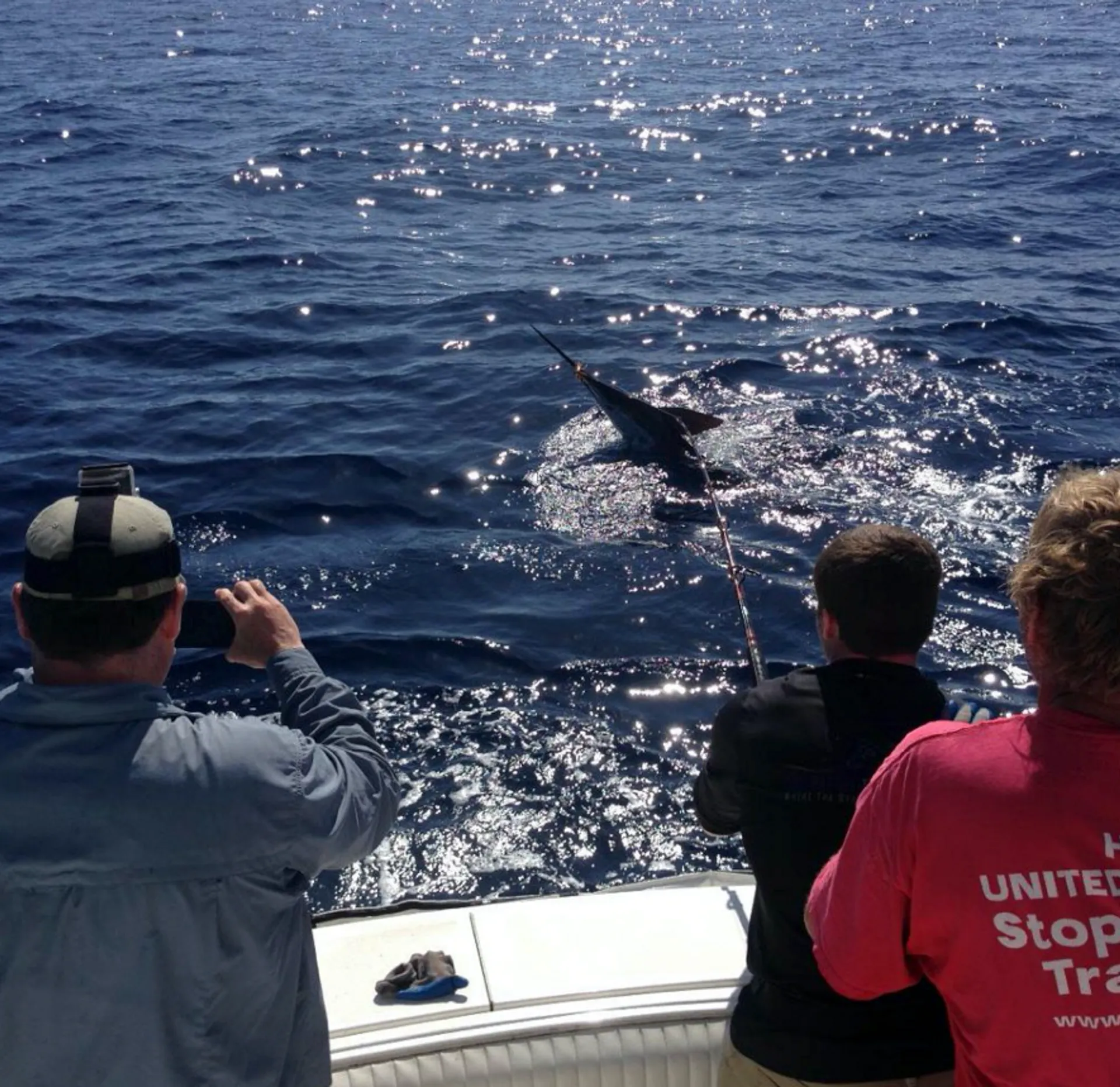 Luhrs Boats 31 Open in San Diego, CA — photo 7