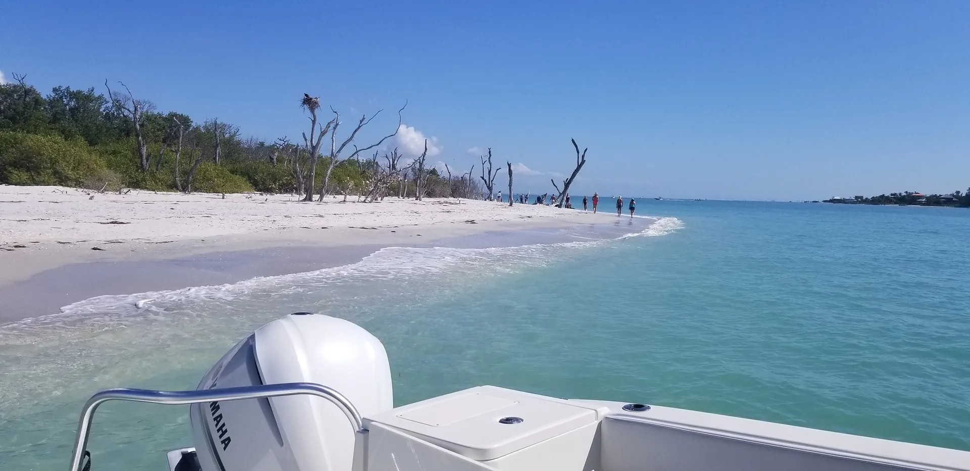 World Cat Boats 320DC Dual Console w/2-300HP in Sarasota, FL — photo 8