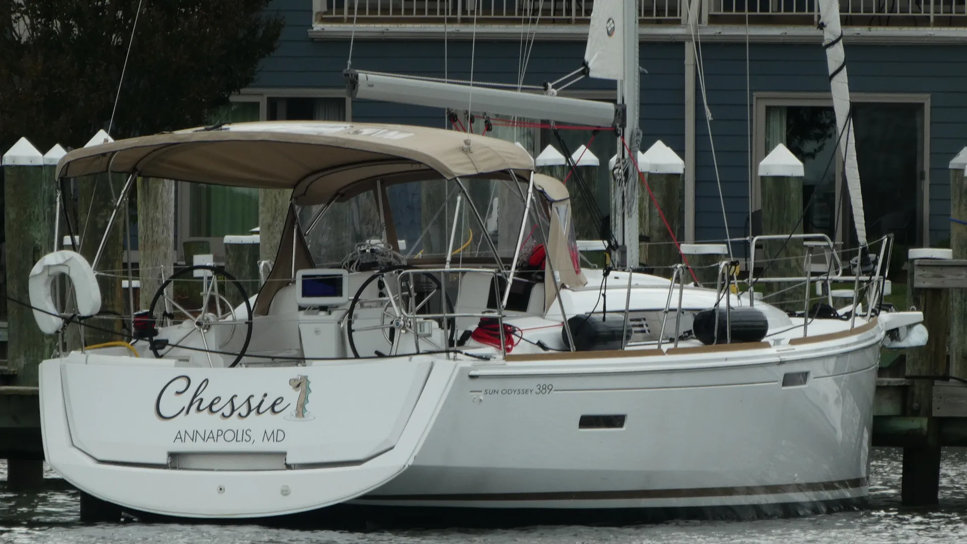 Sail away on the Chesapeake Bay with Chessie from Annapolis!  