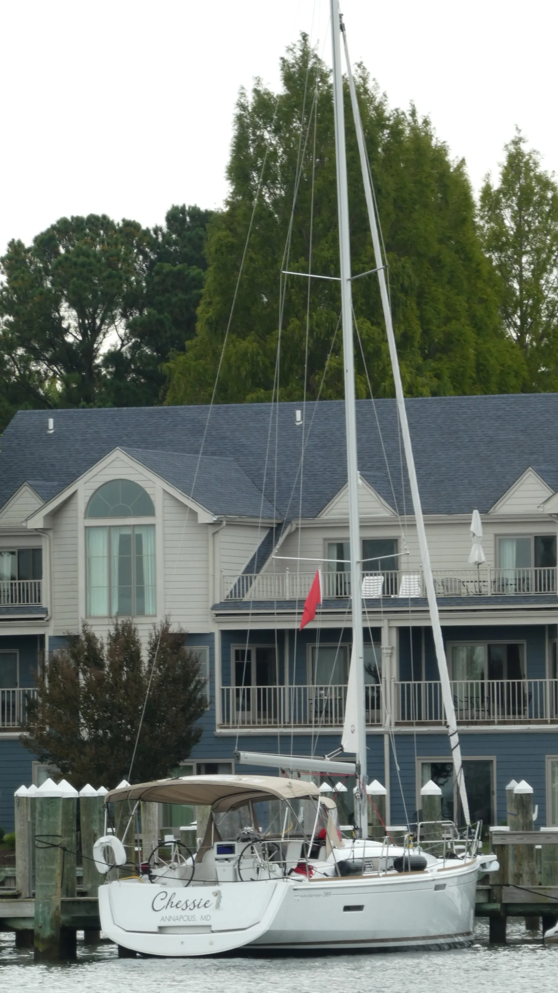 Sail away on the Chesapeake Bay with Chessie from Annapolis!  