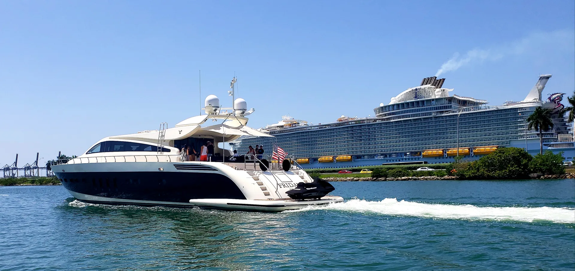 Canitieri Leopard in Miami, FL — photo 2