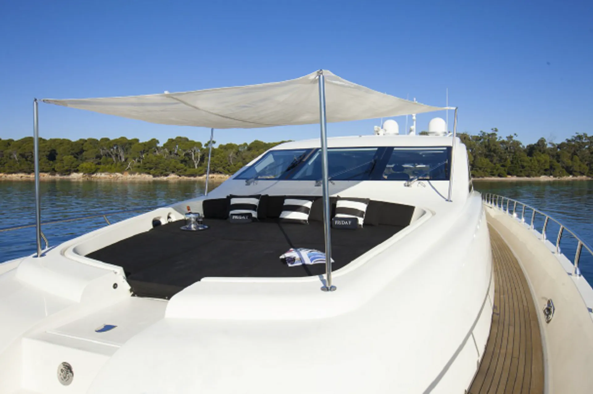 Canitieri Leopard in Miami, FL — photo 3