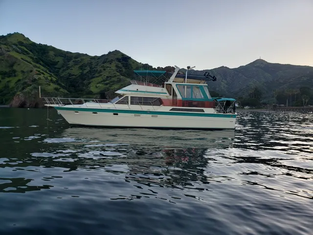 Rent a HiStar cruiser in Long Beach, CA near me