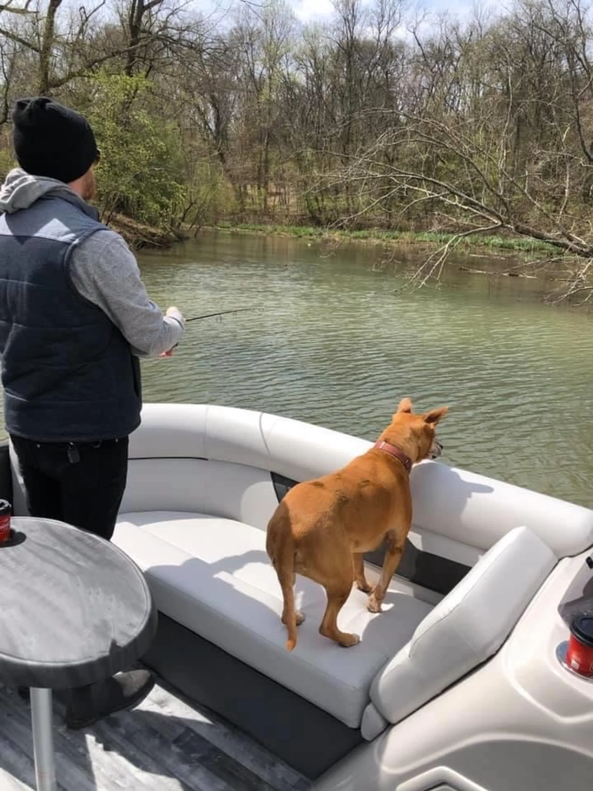 Crest Pontoons 230 Crest Classic CP3 Plus TriToon in Hendersonville, TN — photo 5