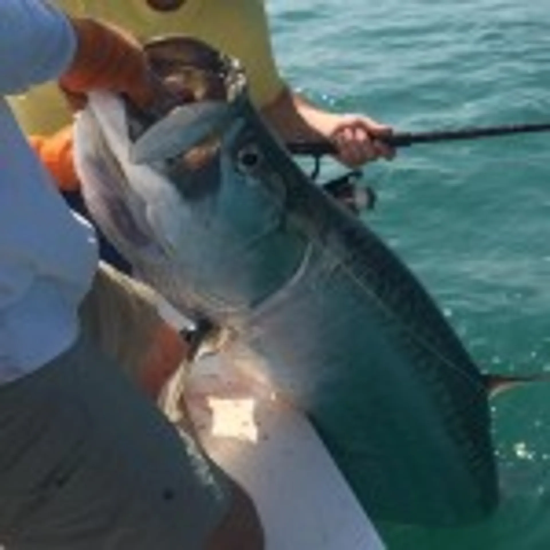 Pathfinder Boats 2200 Tournament Ed. w/F200XB Yamaha in Punta Rassa, FL — photo 3