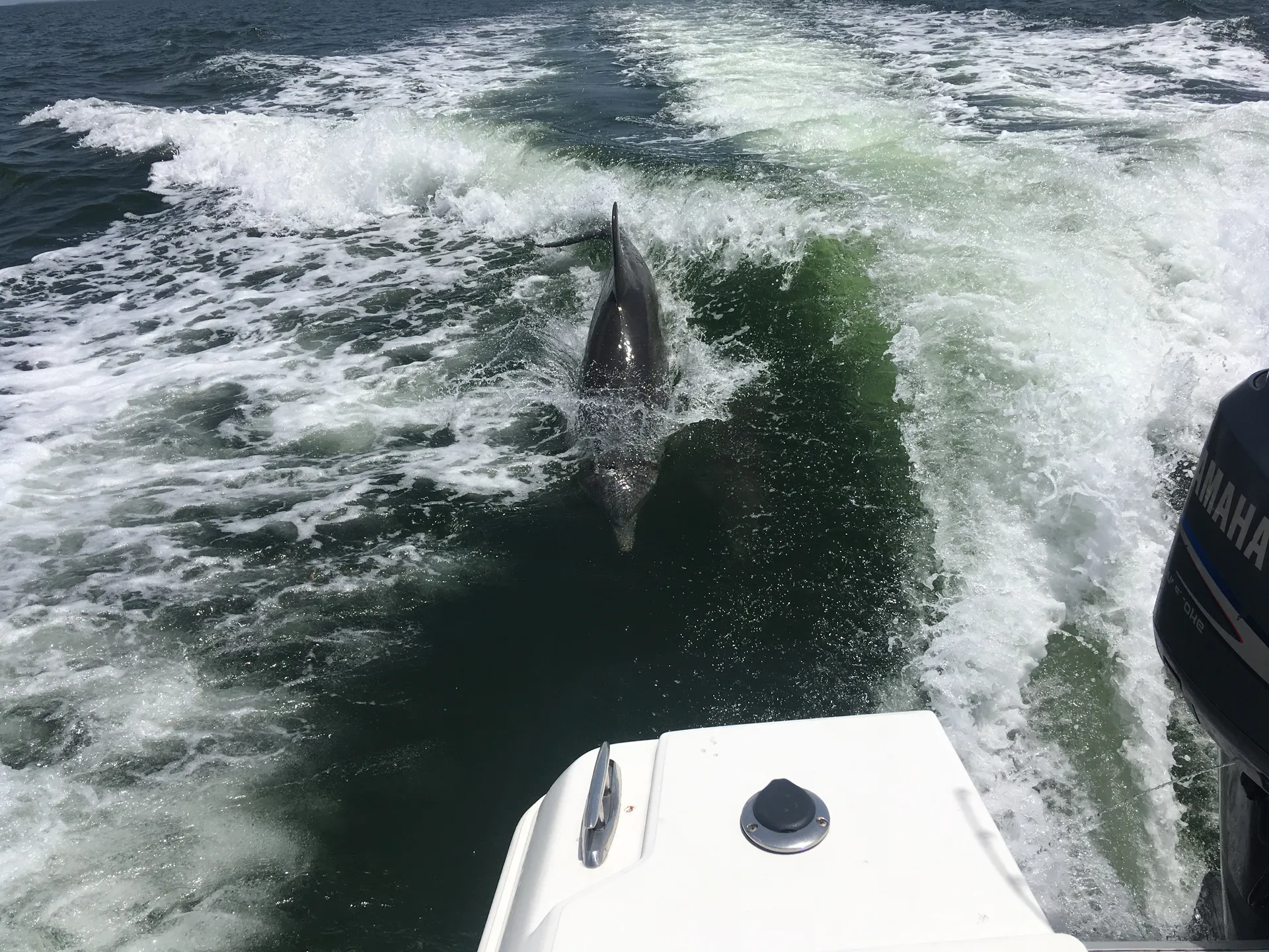 Clearwater Fishing Boats 2300 Walkaround in Ocala, FL — photo 4