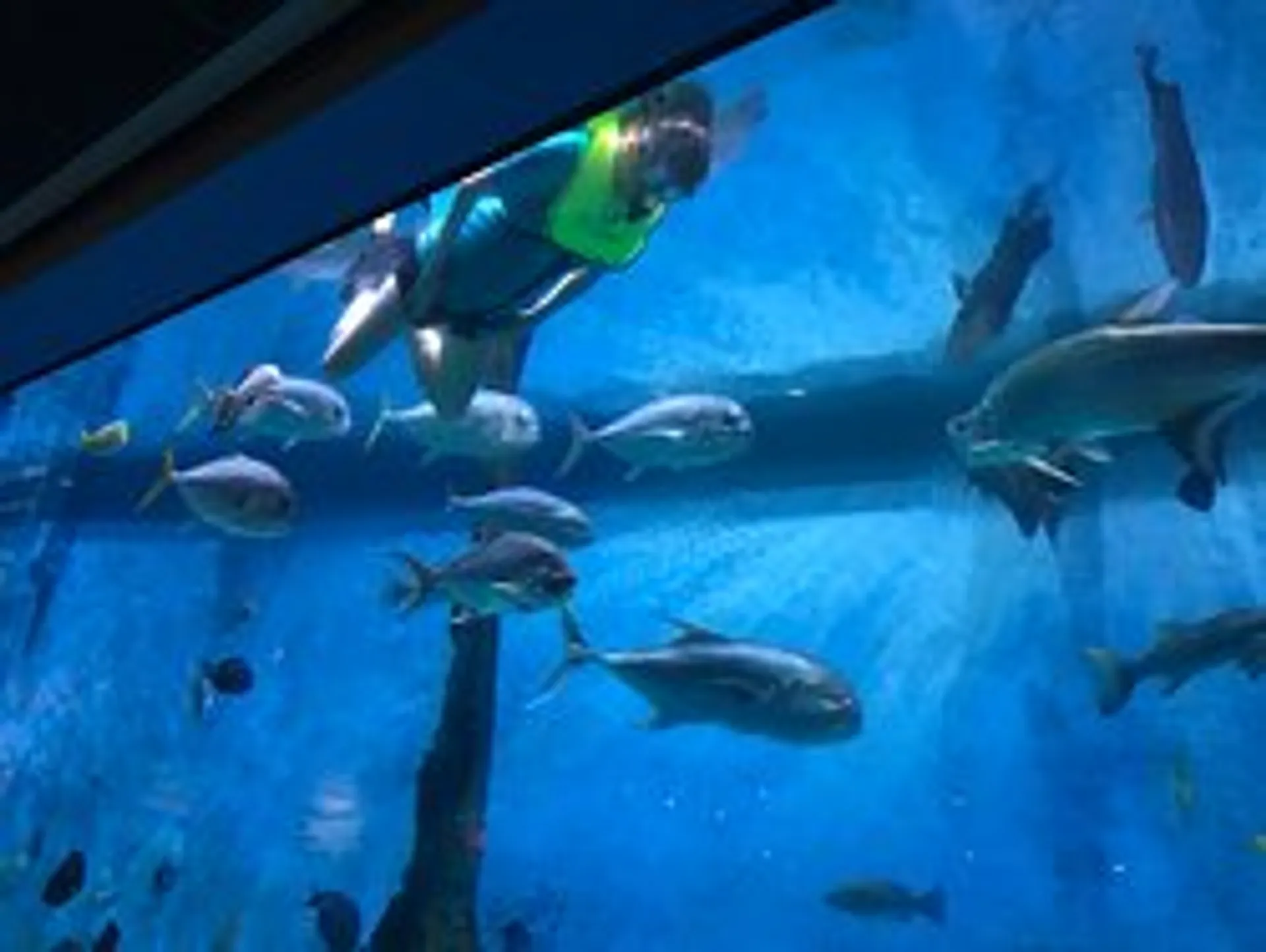 Crest Pontoons 230 Crest Classic SL in Tierra Verde, FL — photo 3