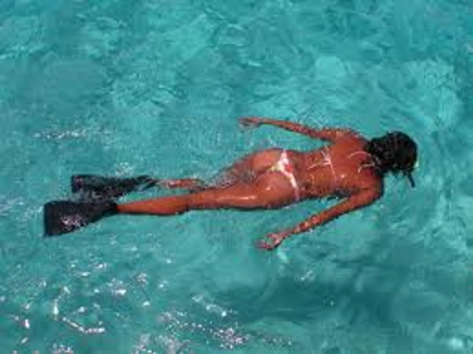 Sunset Cruises, Snorkeling & Whale Watching, 