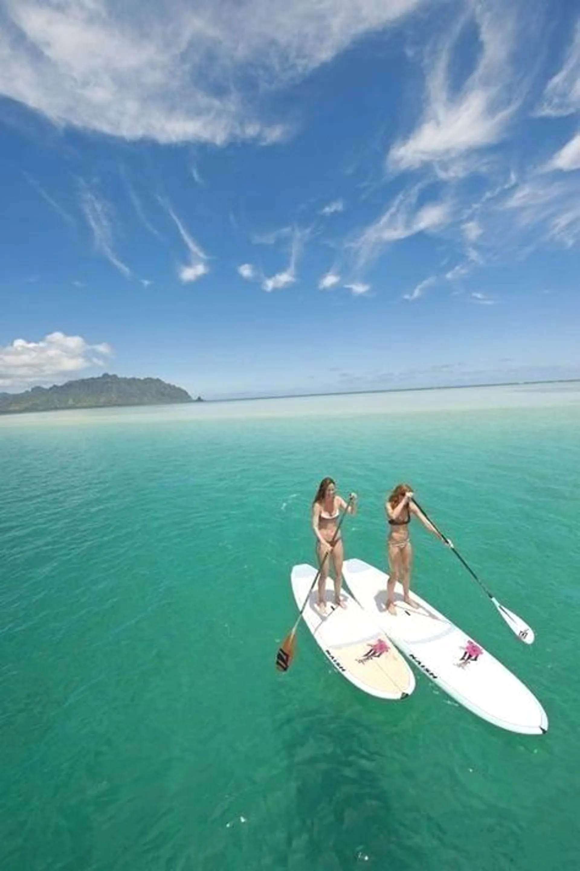 Private Catamaran Charter for up to 49 Guests