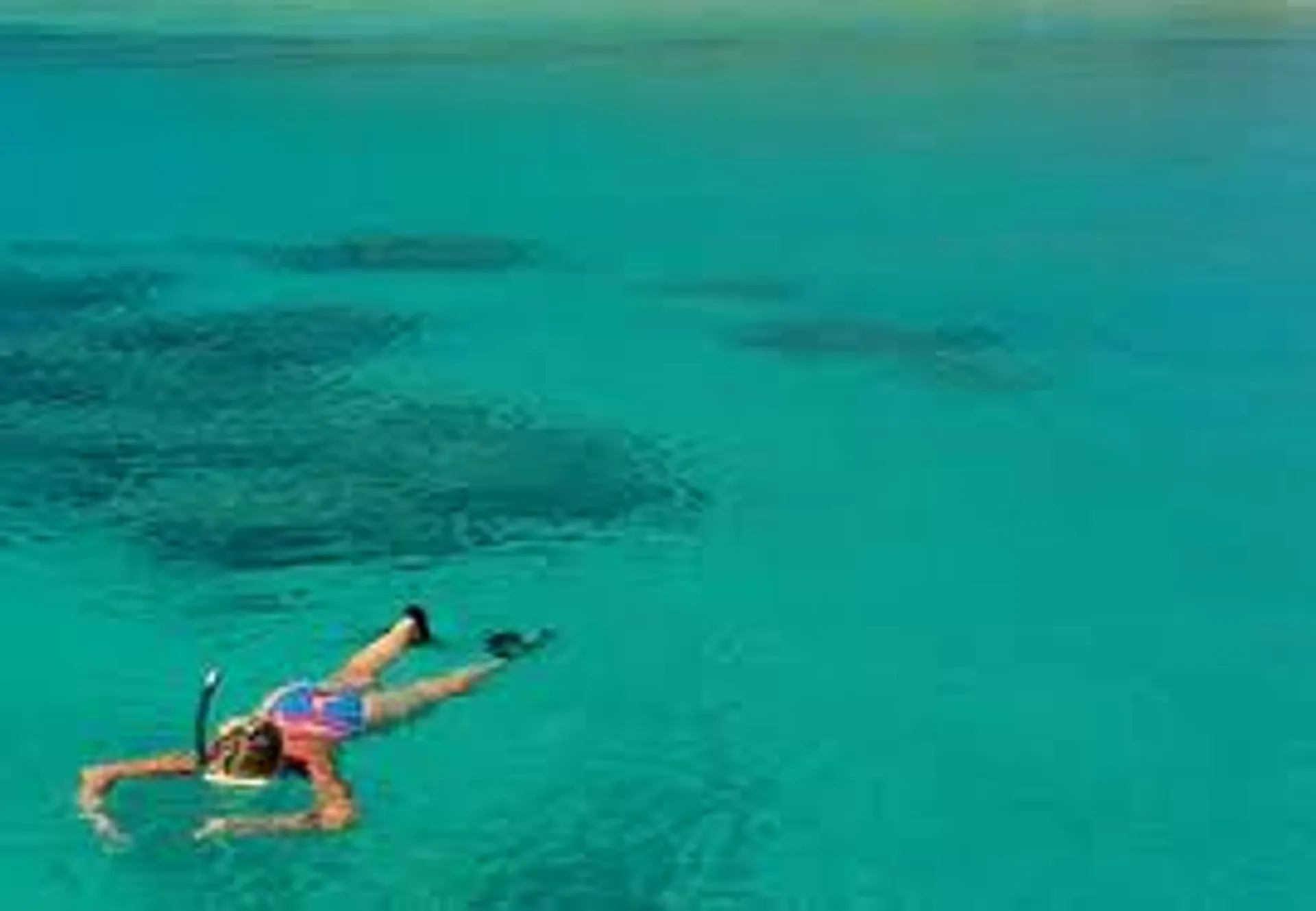 Private Catamaran Charter for up to 49 Guests