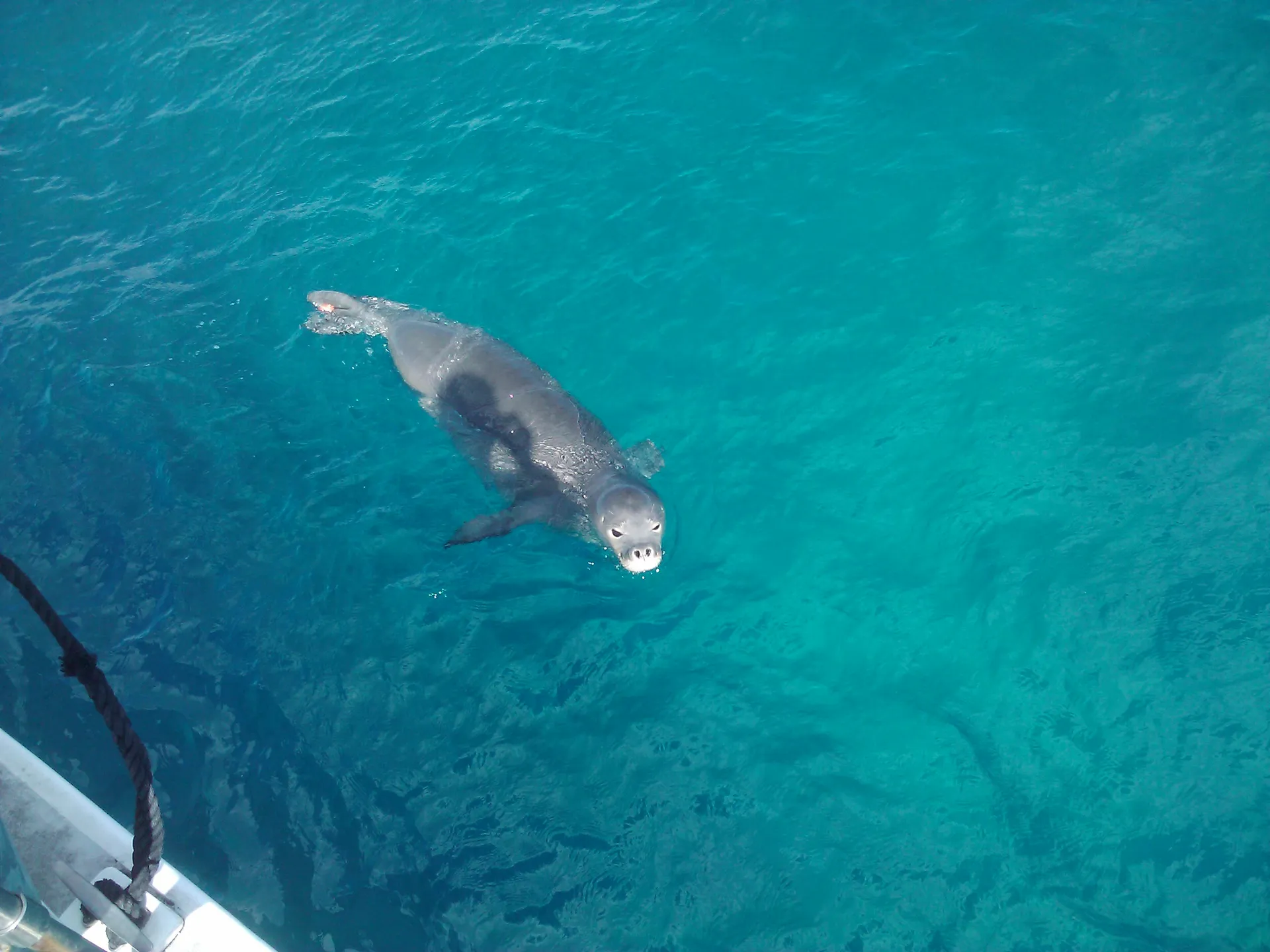 Luxury High Performance Waikiki Sailing Catamaran