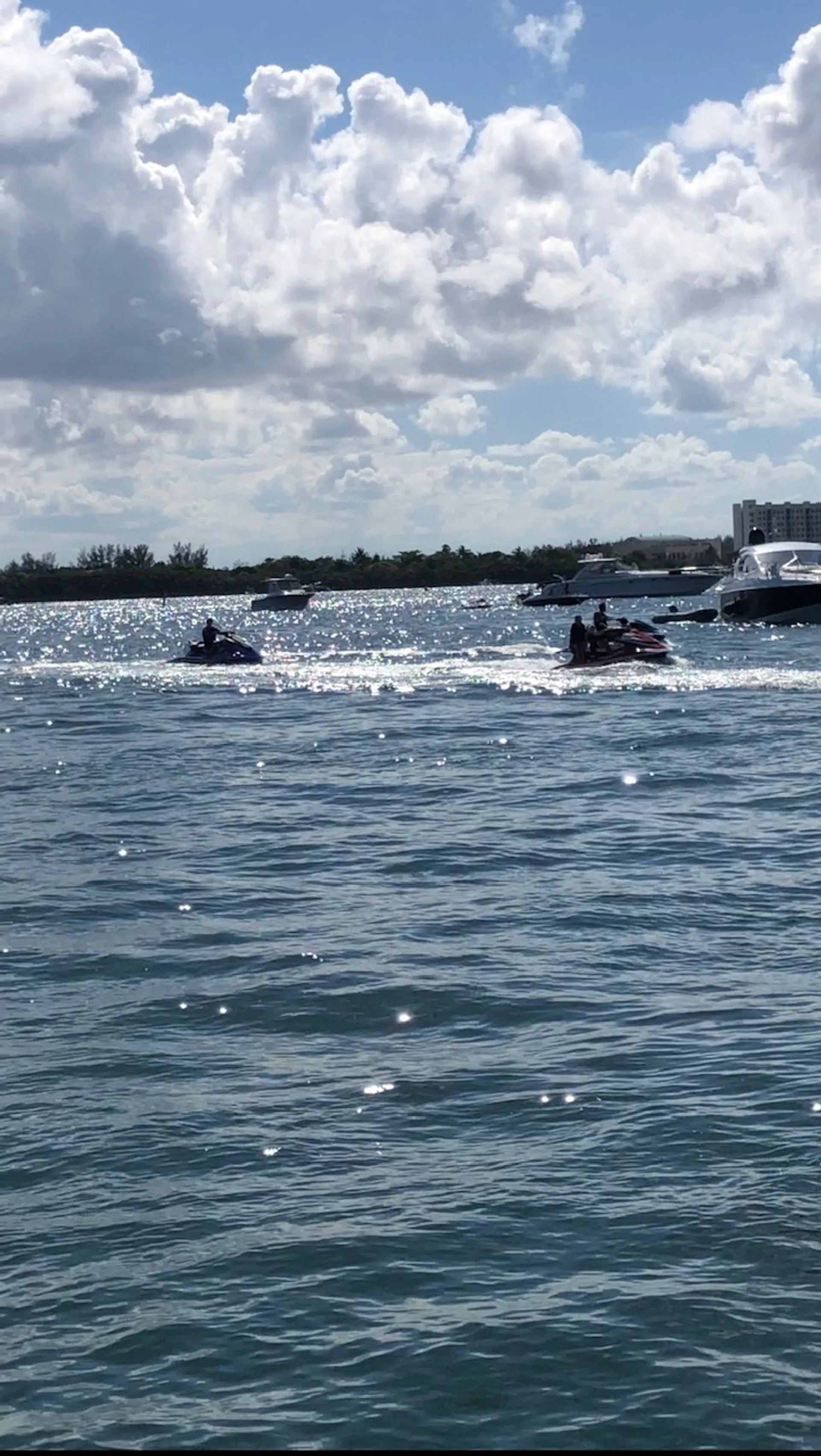 Regal Boats 2860 Window Express Volvo in Miami Beach, FL — photo 2