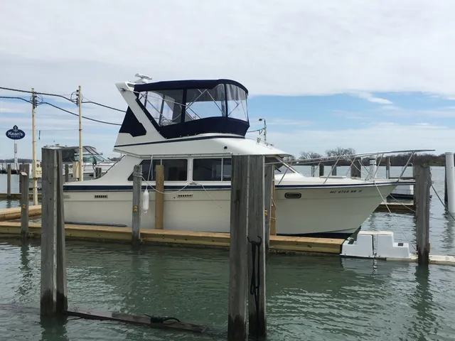 Rent a Tollycraft Boats deck boat in Detroit, MI near me