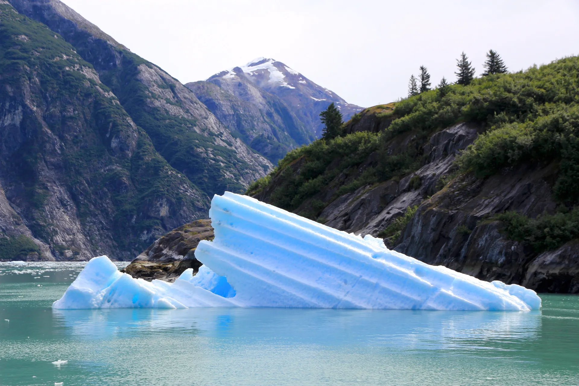 Alaska Cruises & Yacht Charters (8D7N)