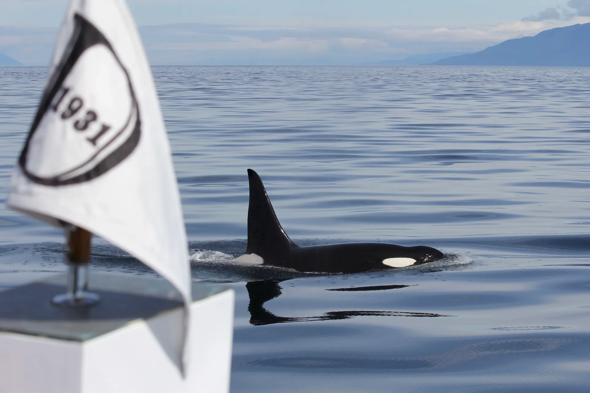 Alaska Cruises & Yacht Charters (8D7N)