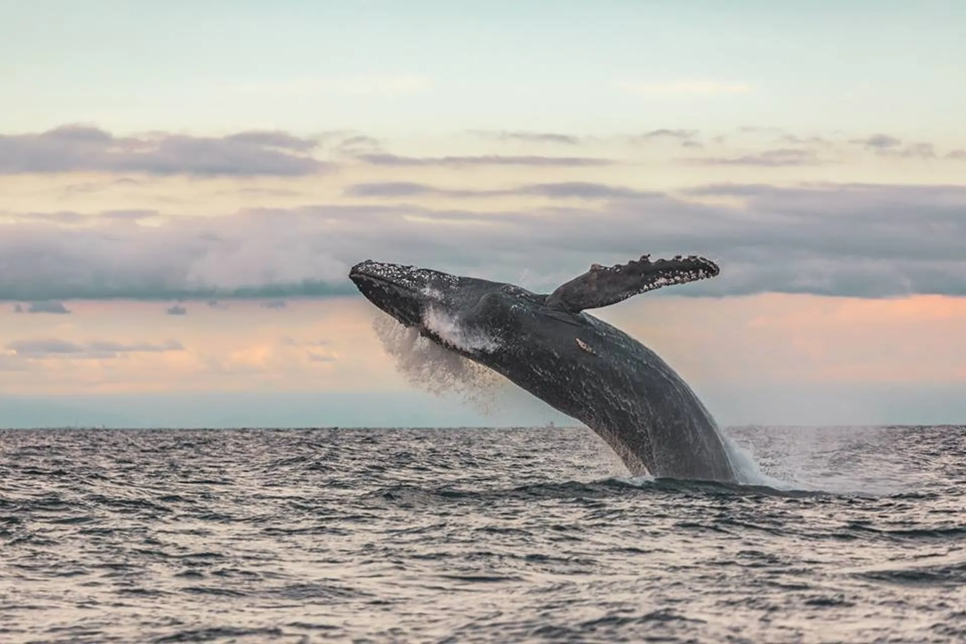 56' Beautiful Sunseeker Yacht in Newport Beach, CA
