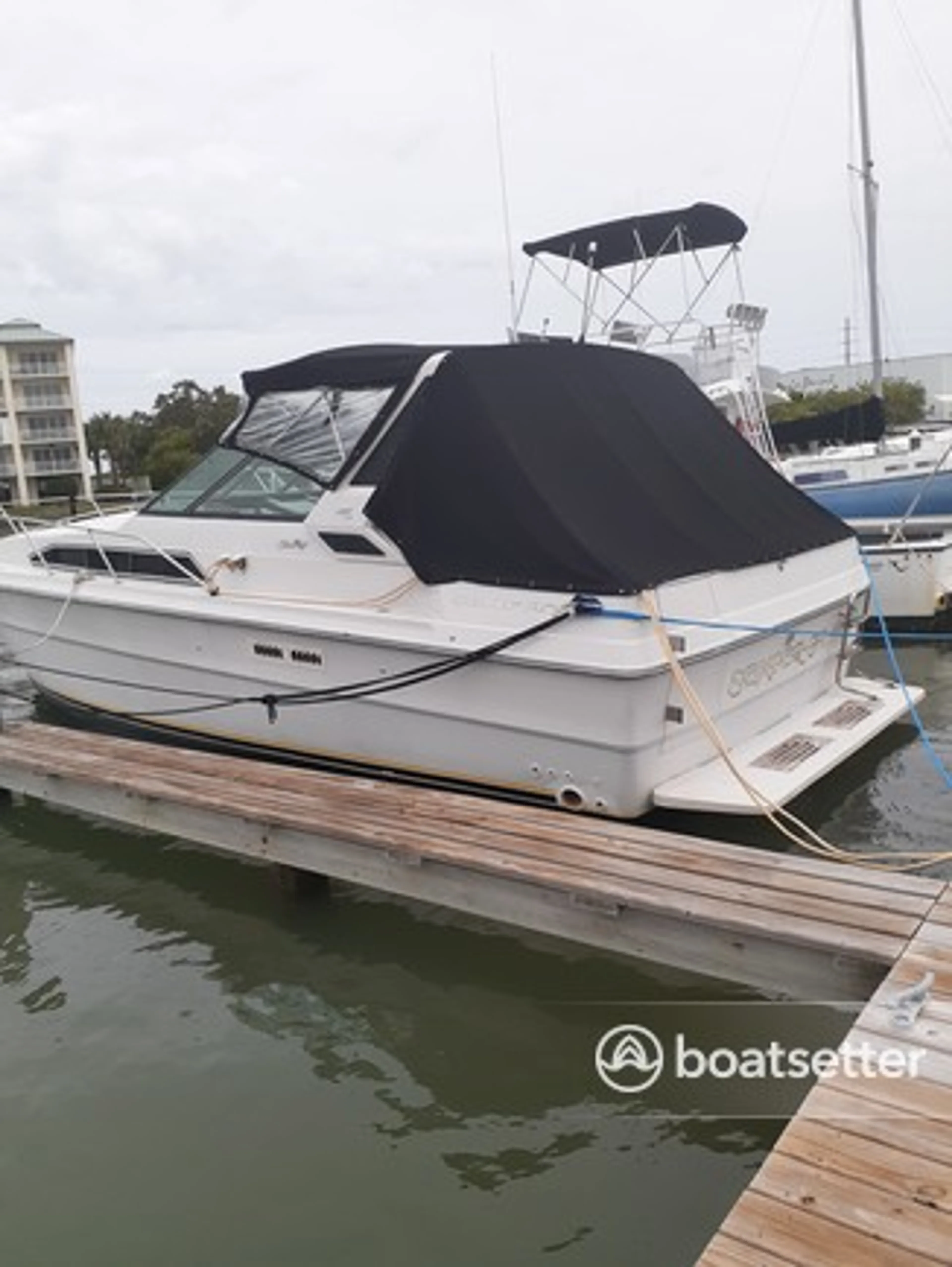 boat
