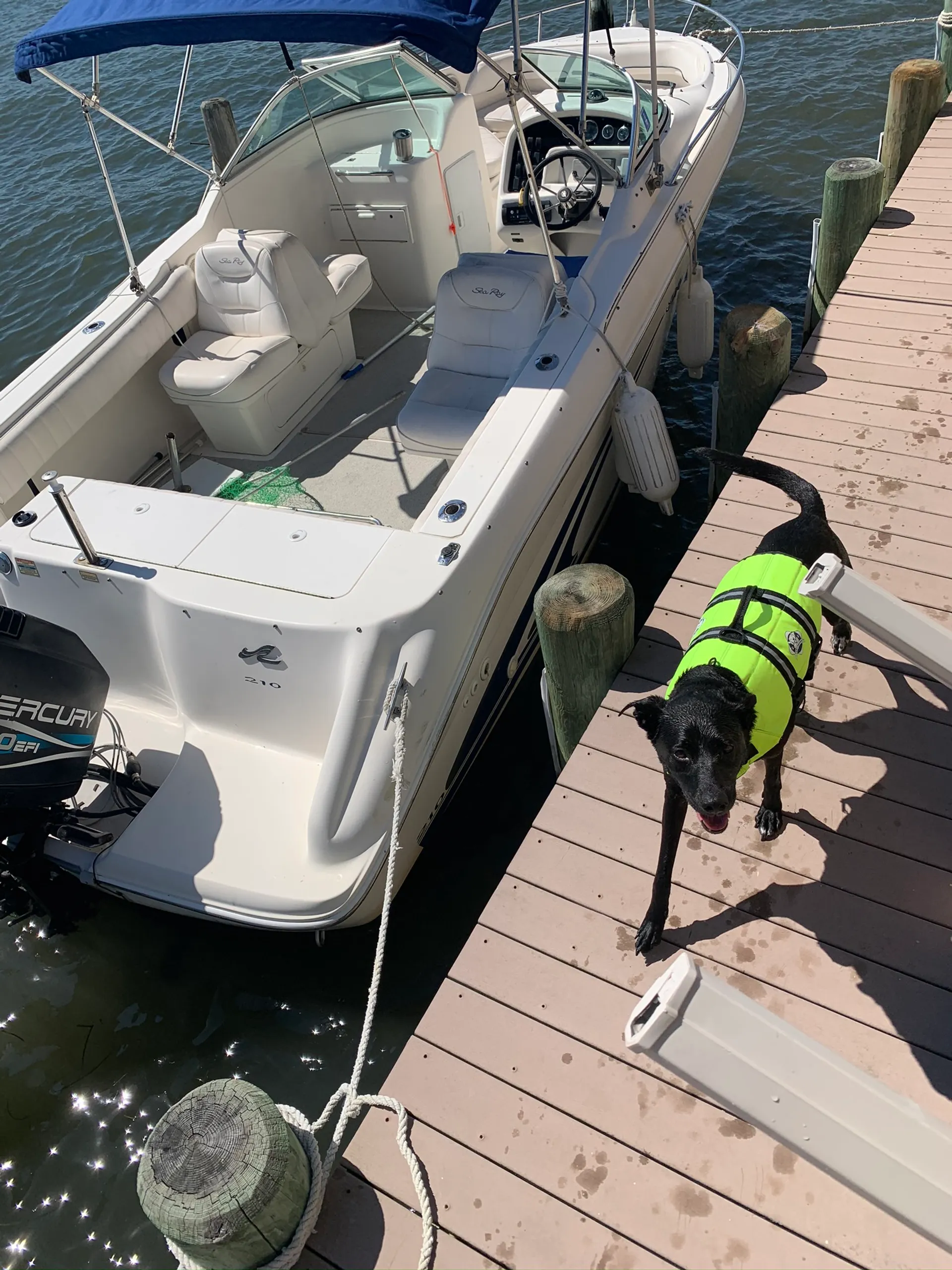 21’ bow rider - with brand new outboard!
