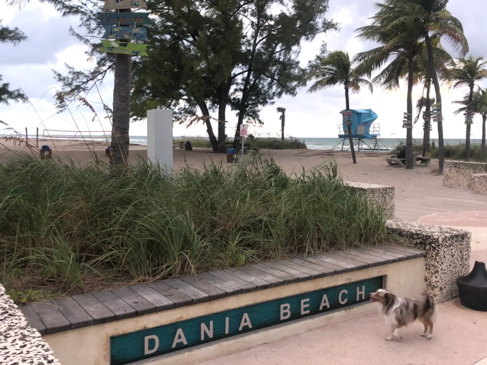 Pro-Line Boats 32 Express Hard Top in Dania Beach, FL — photo 7