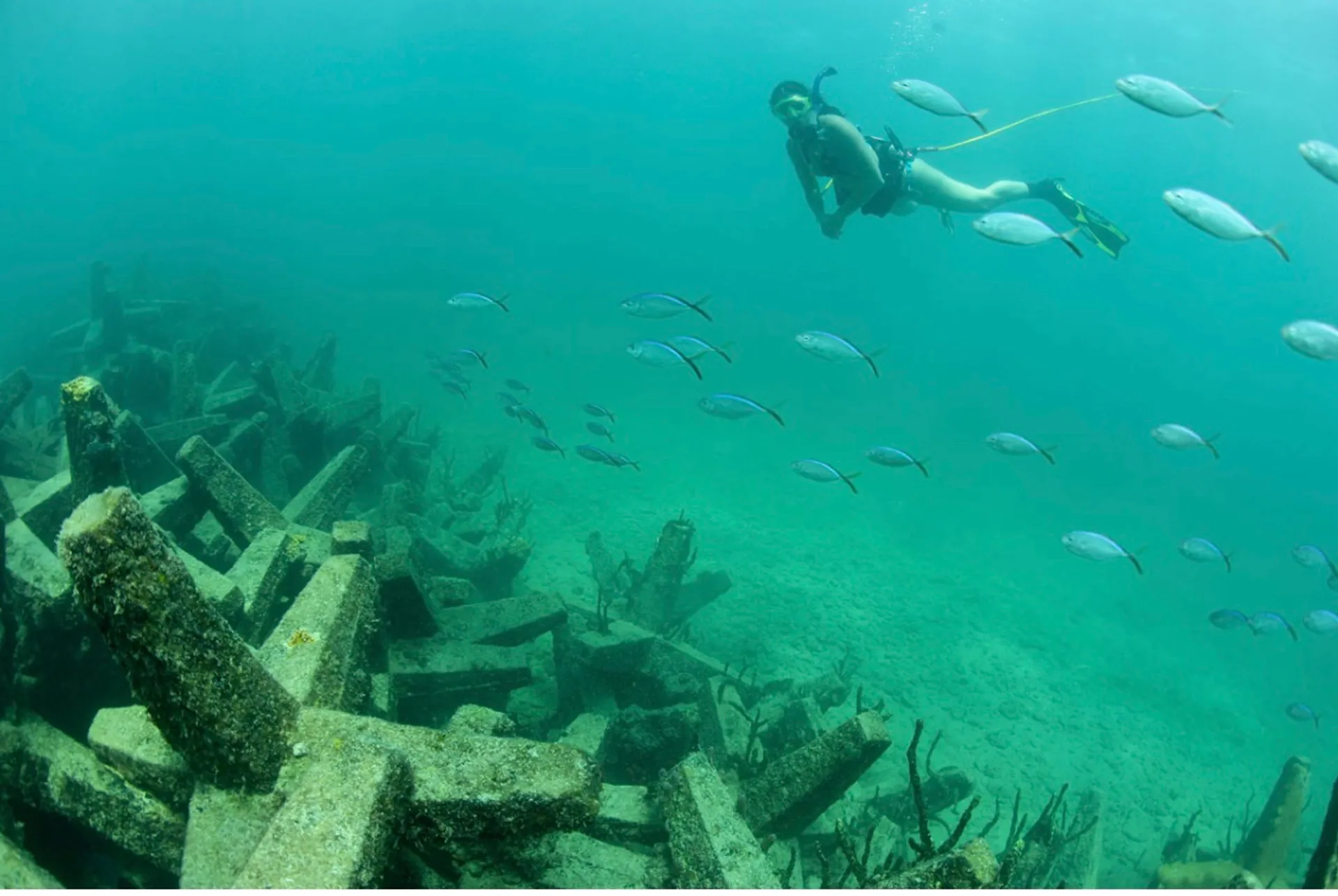 Pro-Line Boats 32 Express Hard Top in Dania Beach, FL — photo 6