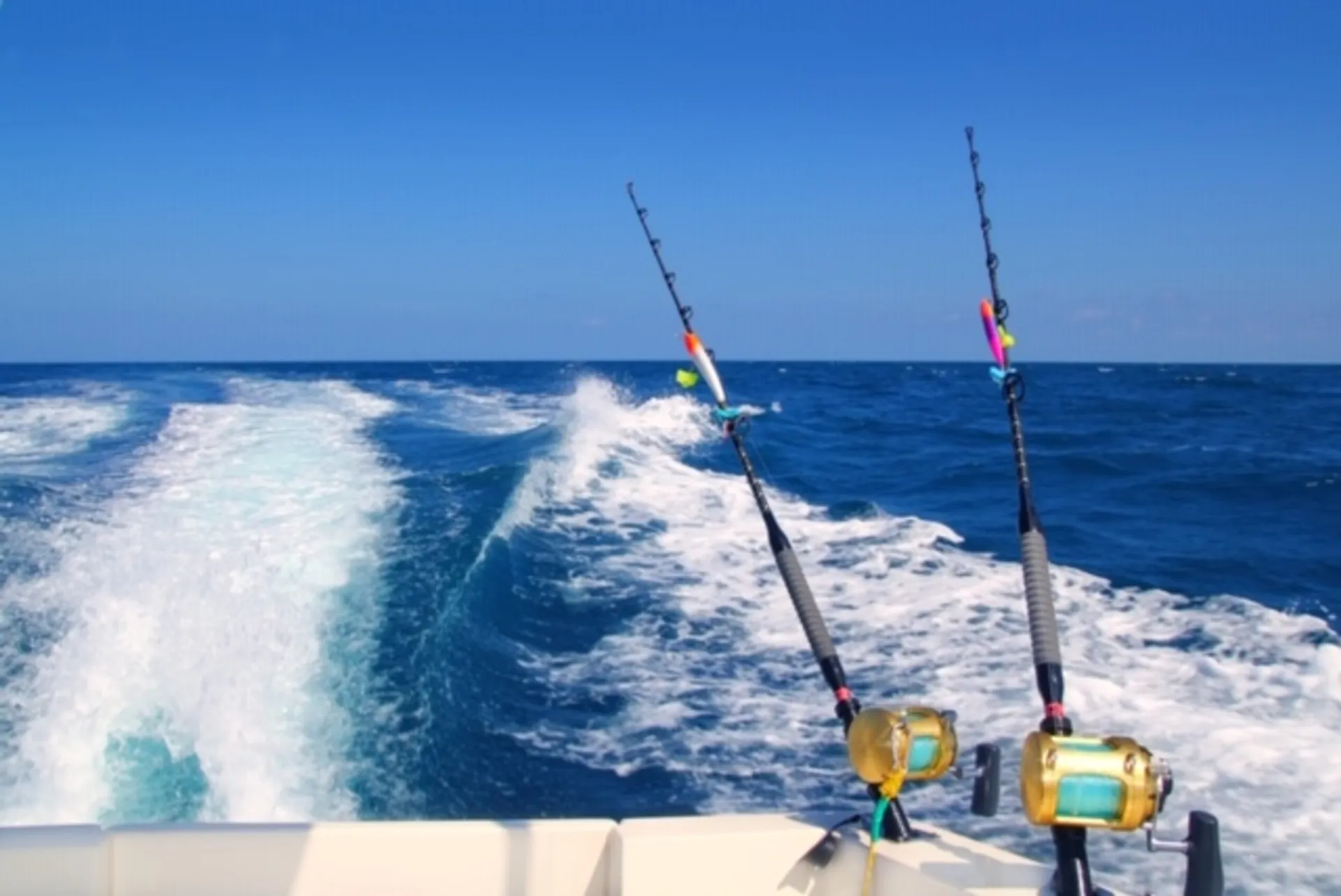 Dargel Boats 250 HDX Kat  in Harlingen, TX — photo 4