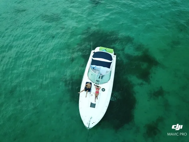 Rent a Sea Ray Boats cruiser in Washington, DC near me